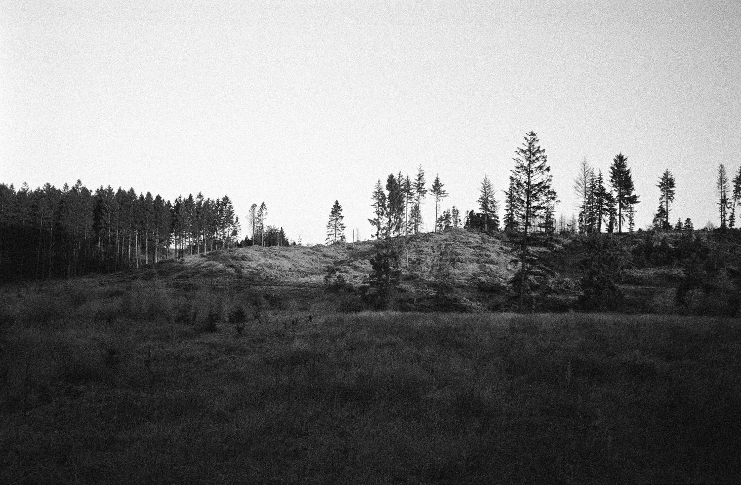02.jpg