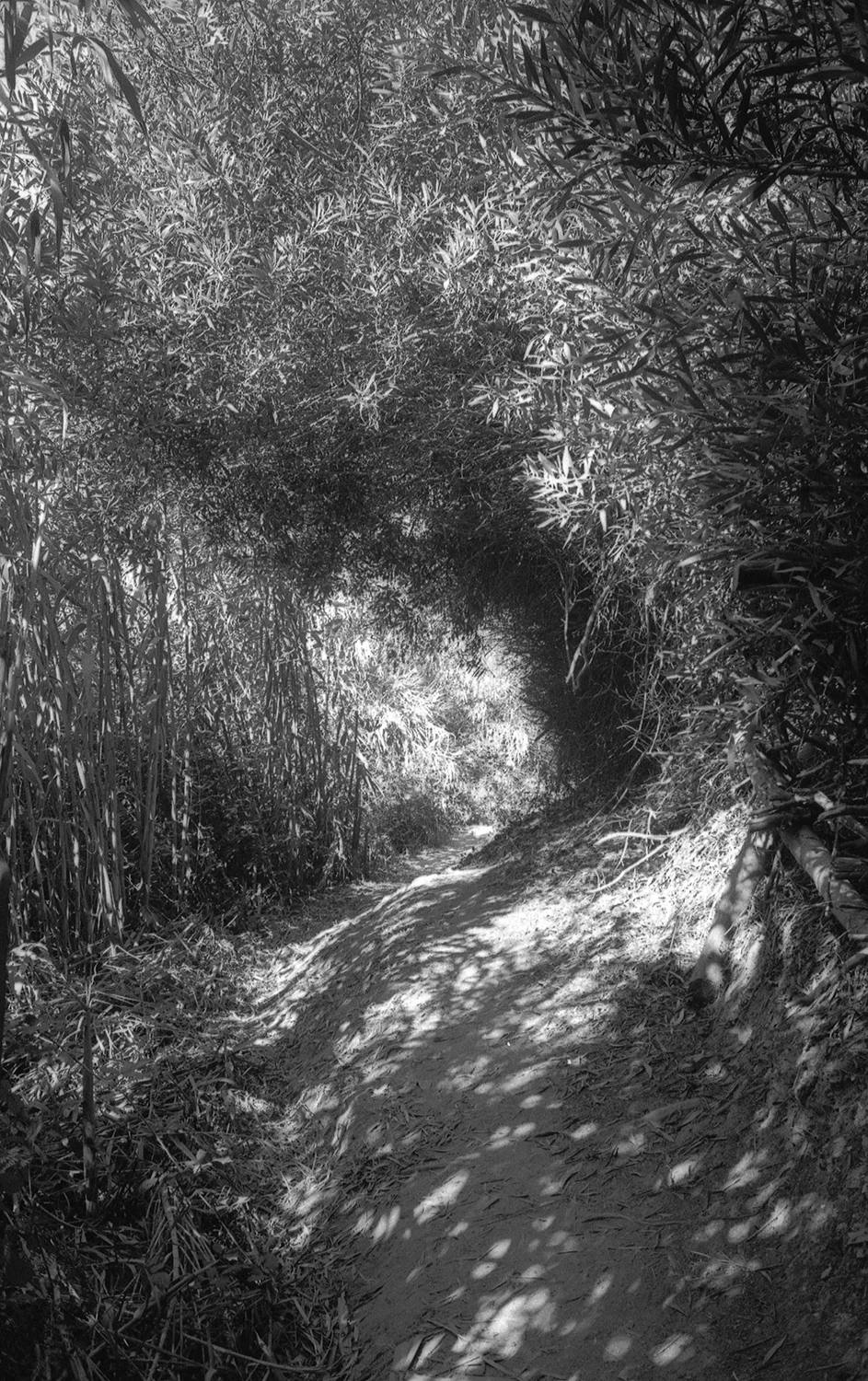 Untitled, photogravure 60 x 90 cm, from the project Theta, 2017