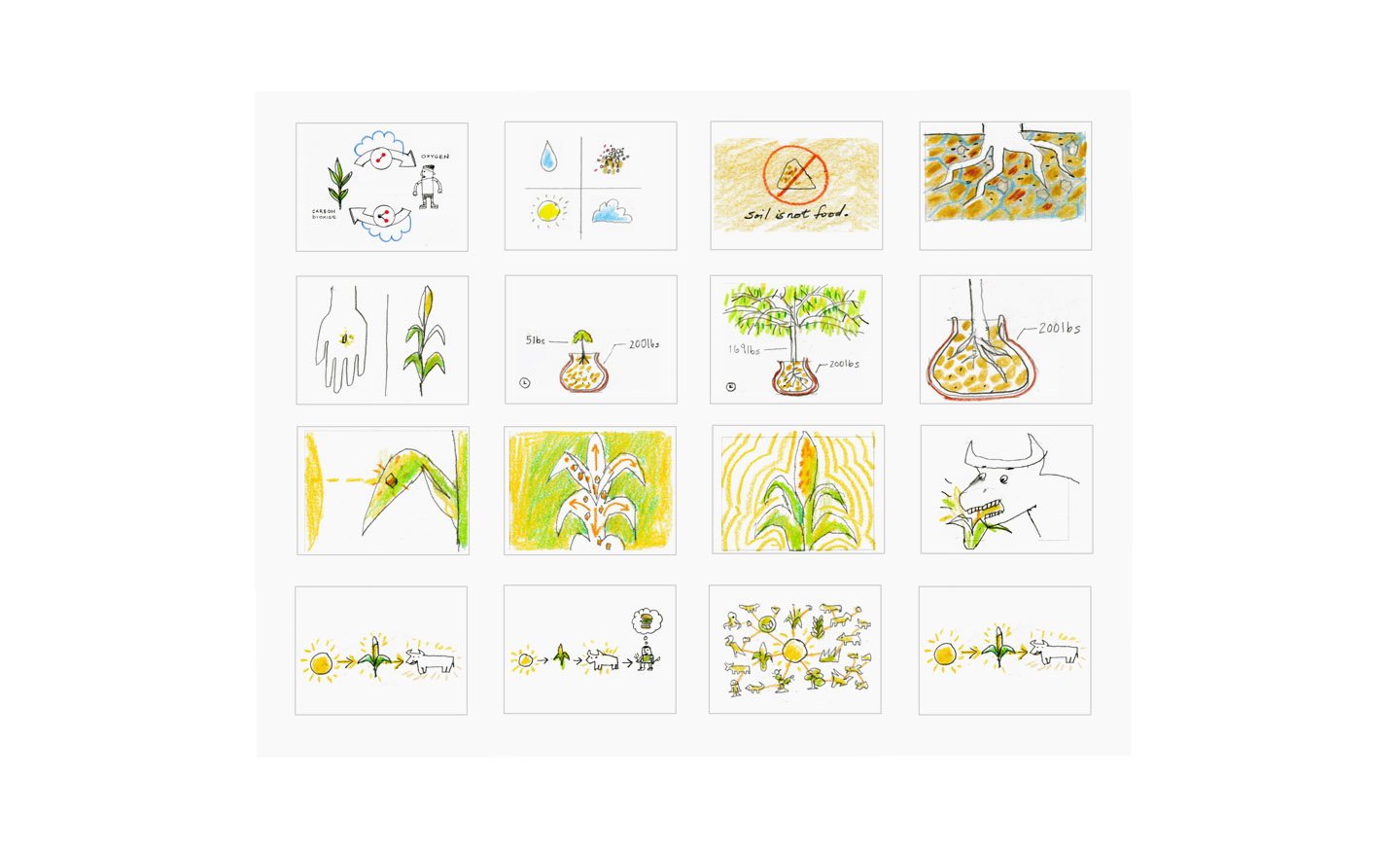 photosynthesis_sketches3.jpg