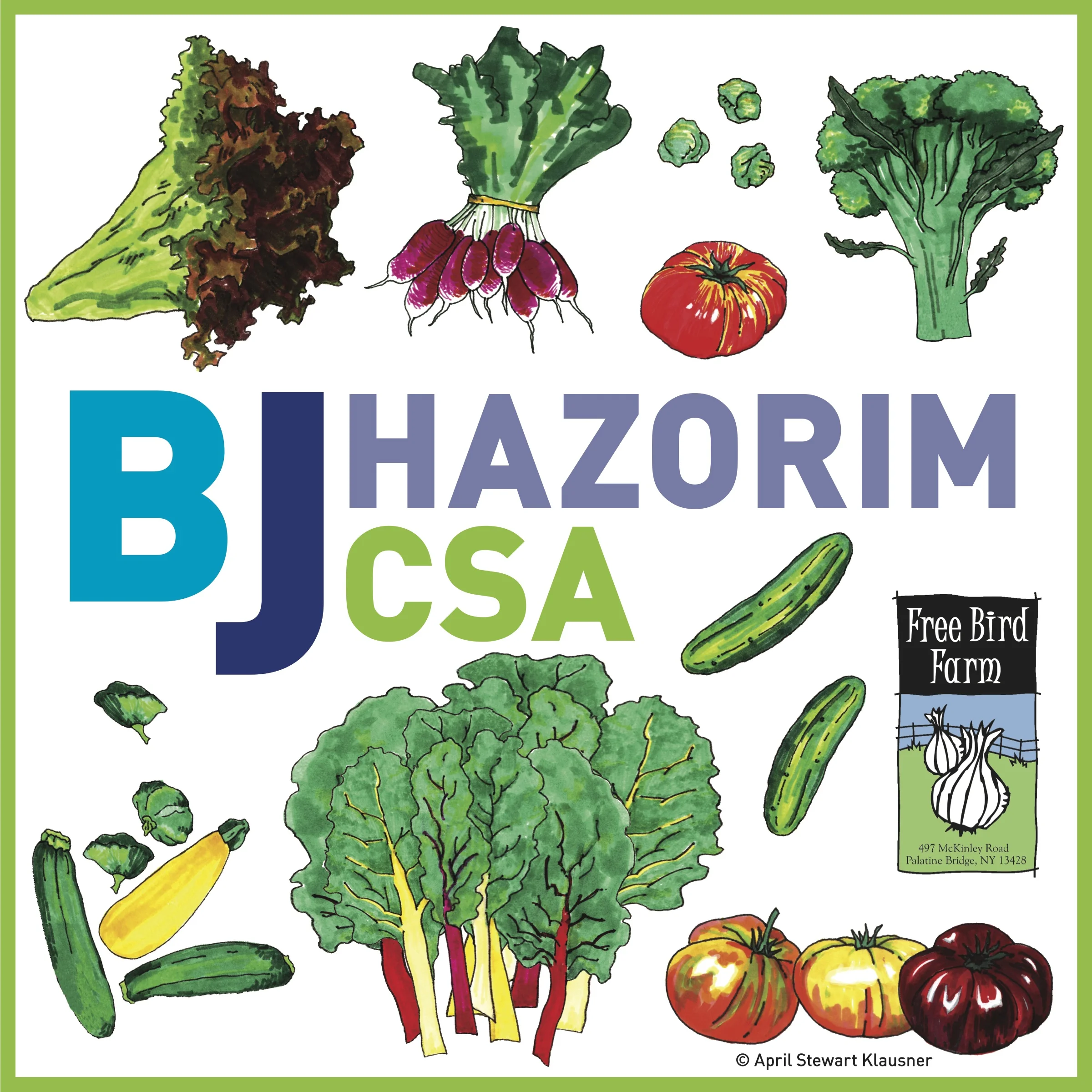 CSA Logo