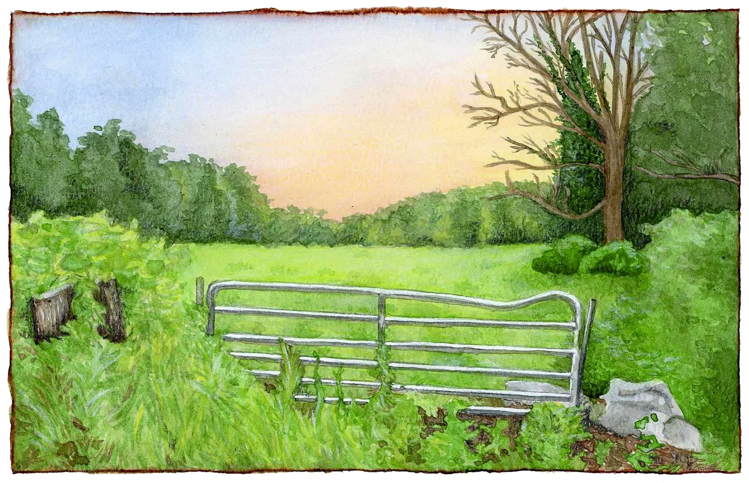 PASTURE AT SUNSET