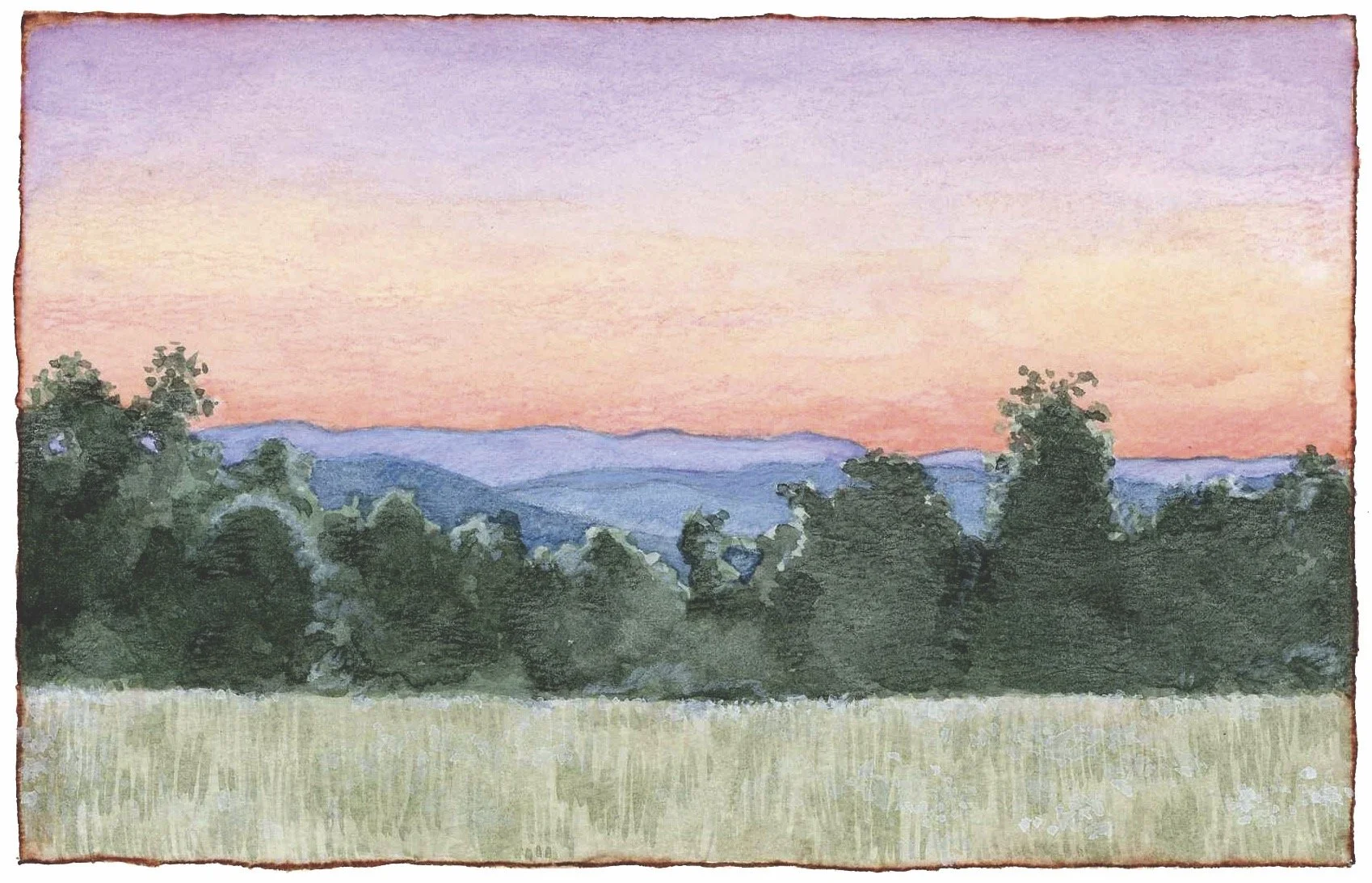 CREAM HILL SUNSET