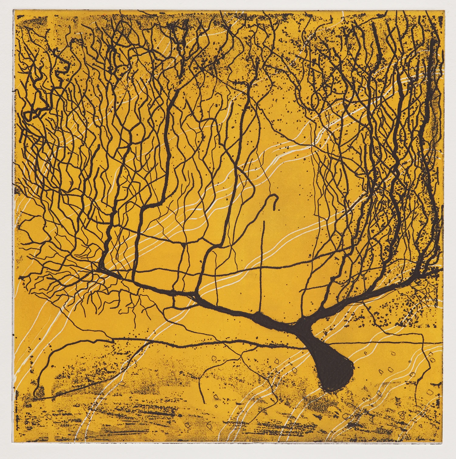 jacobson_neuron-no-3.jpg