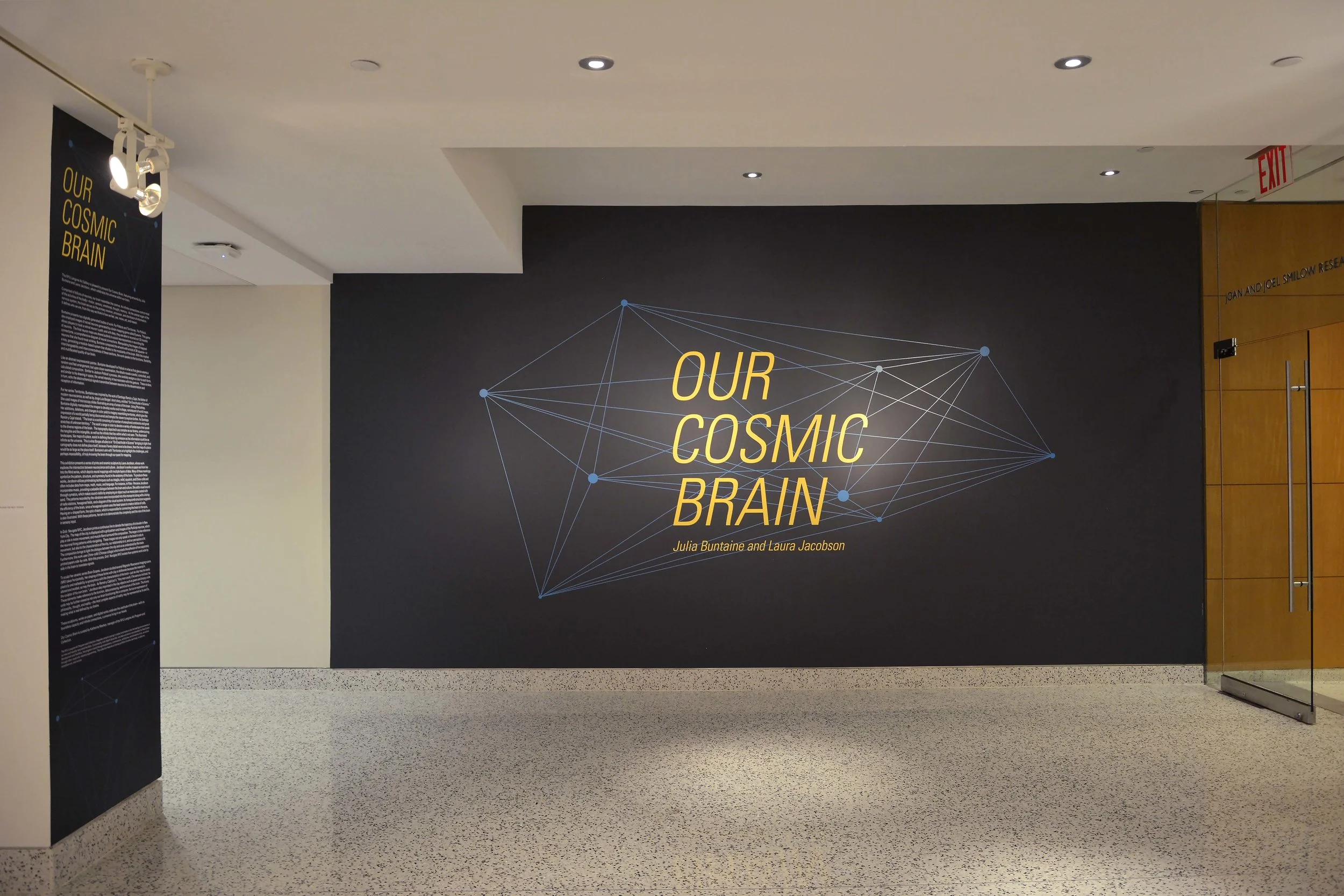 Our Cosmic Brain - web (1).jpg