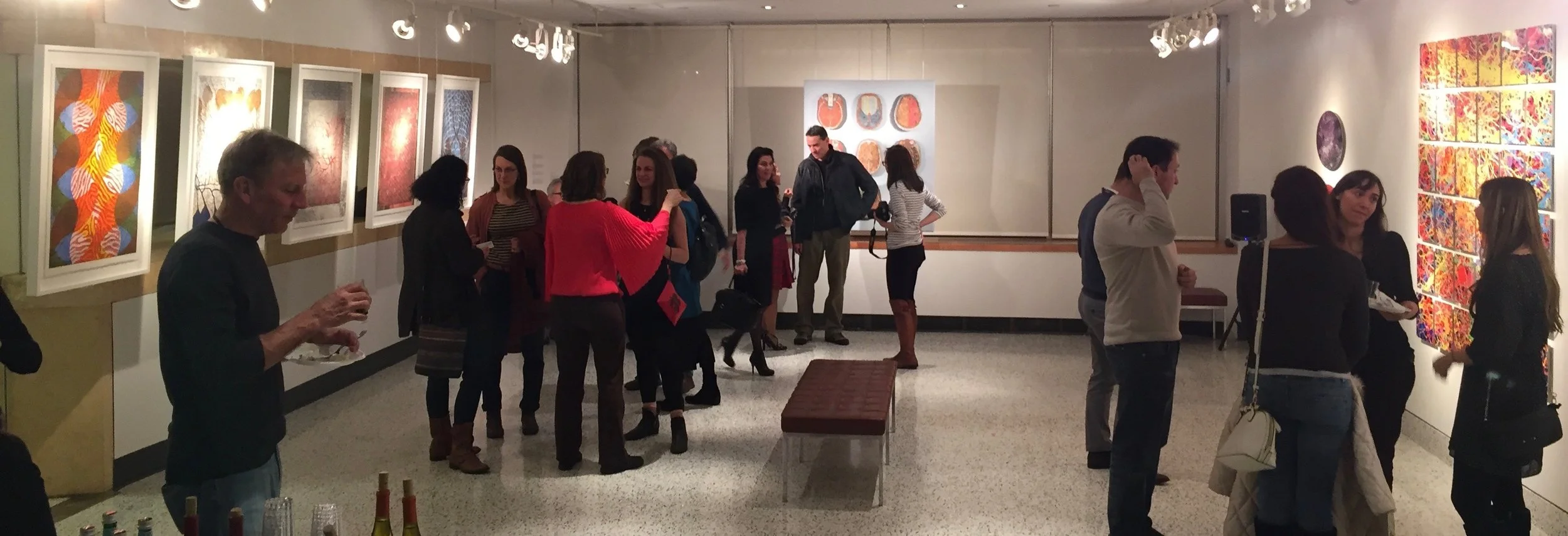 jacobson_our-cosmic-brain-reception_jan2018.jpg
