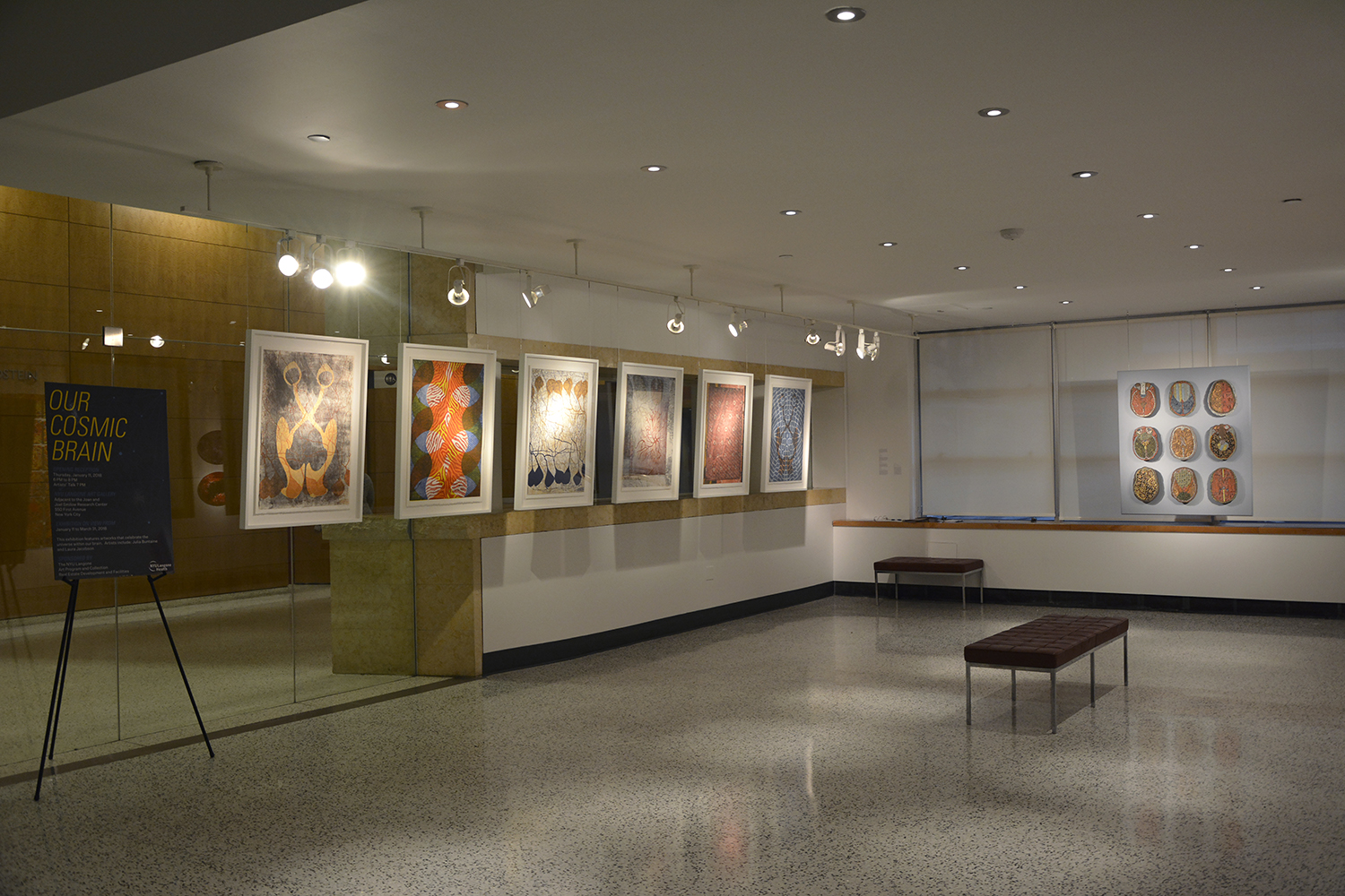 Our Cosmic Brain_LauraJacobson_InstallationView.jpg