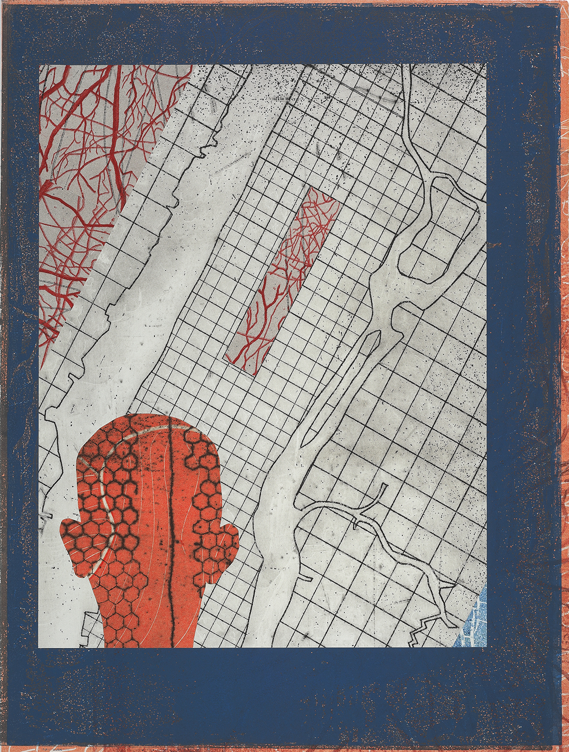 survey perspective