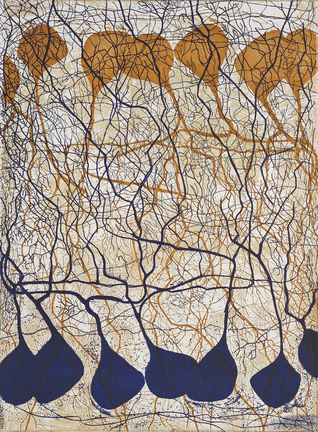 connect : compute, var. 1