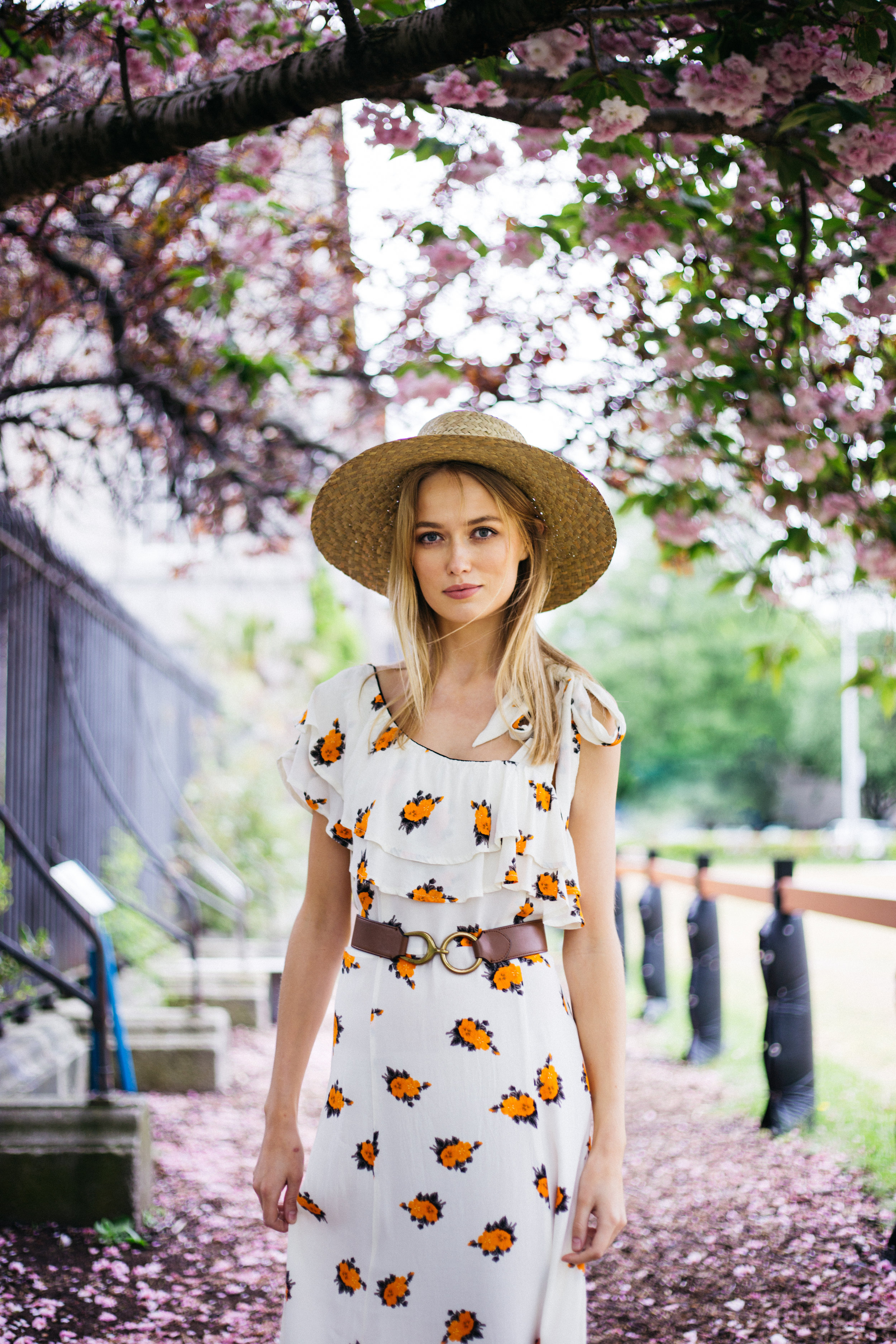 Arnotts SS18