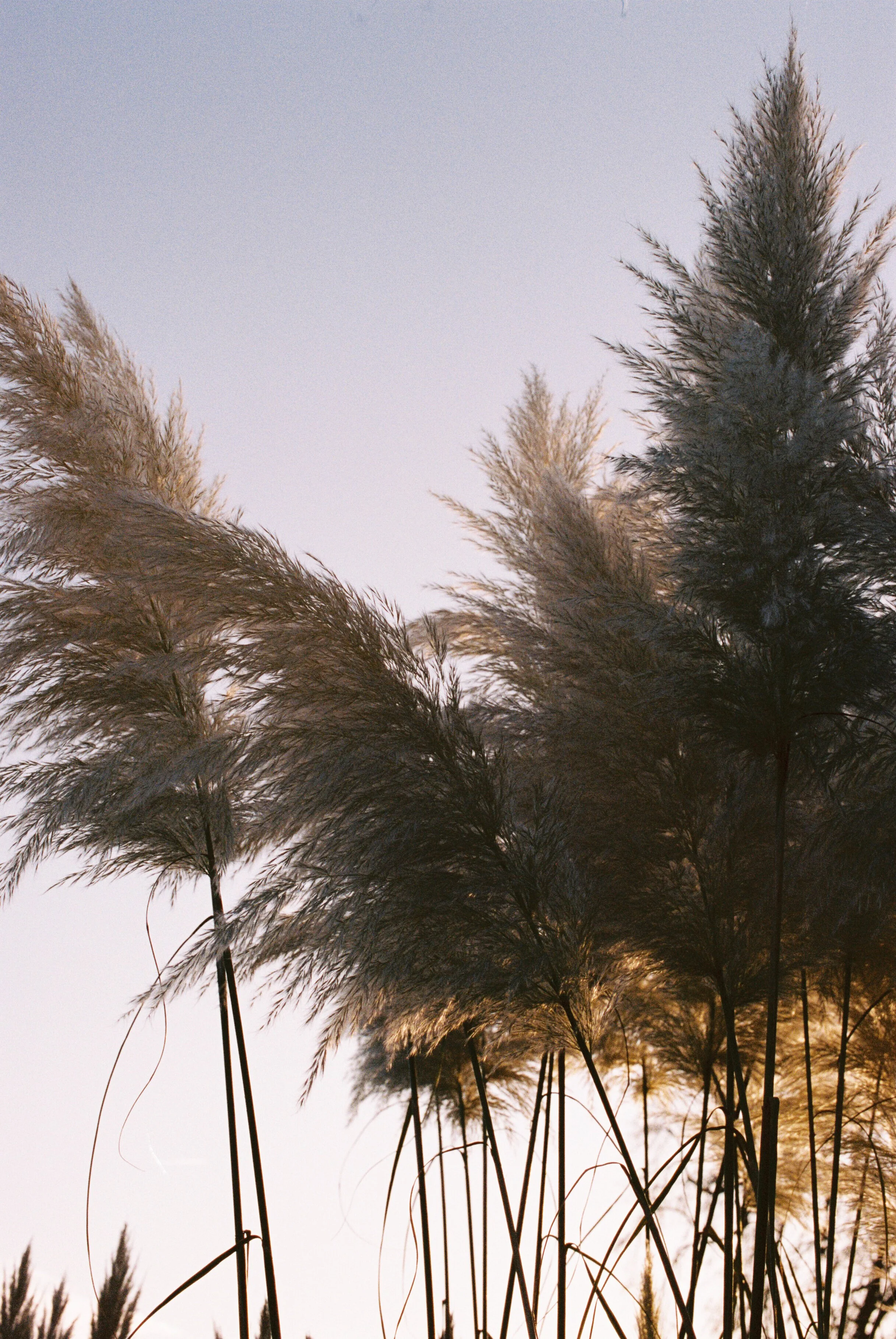 191219_Test_Orla_Yasmin-66.jpg