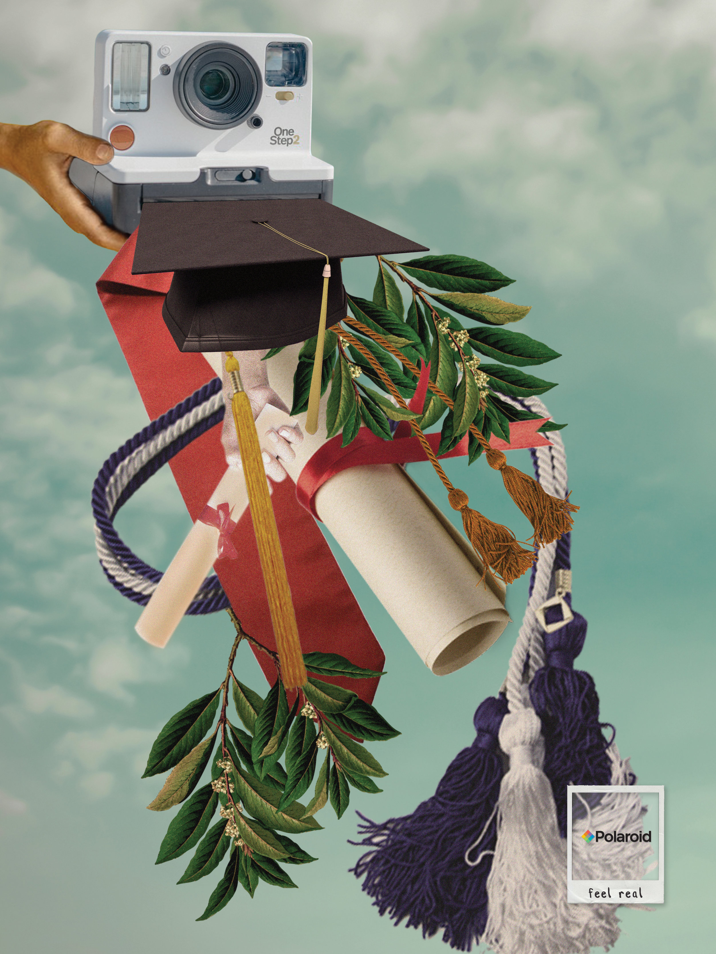 polaroid triumph.jpg