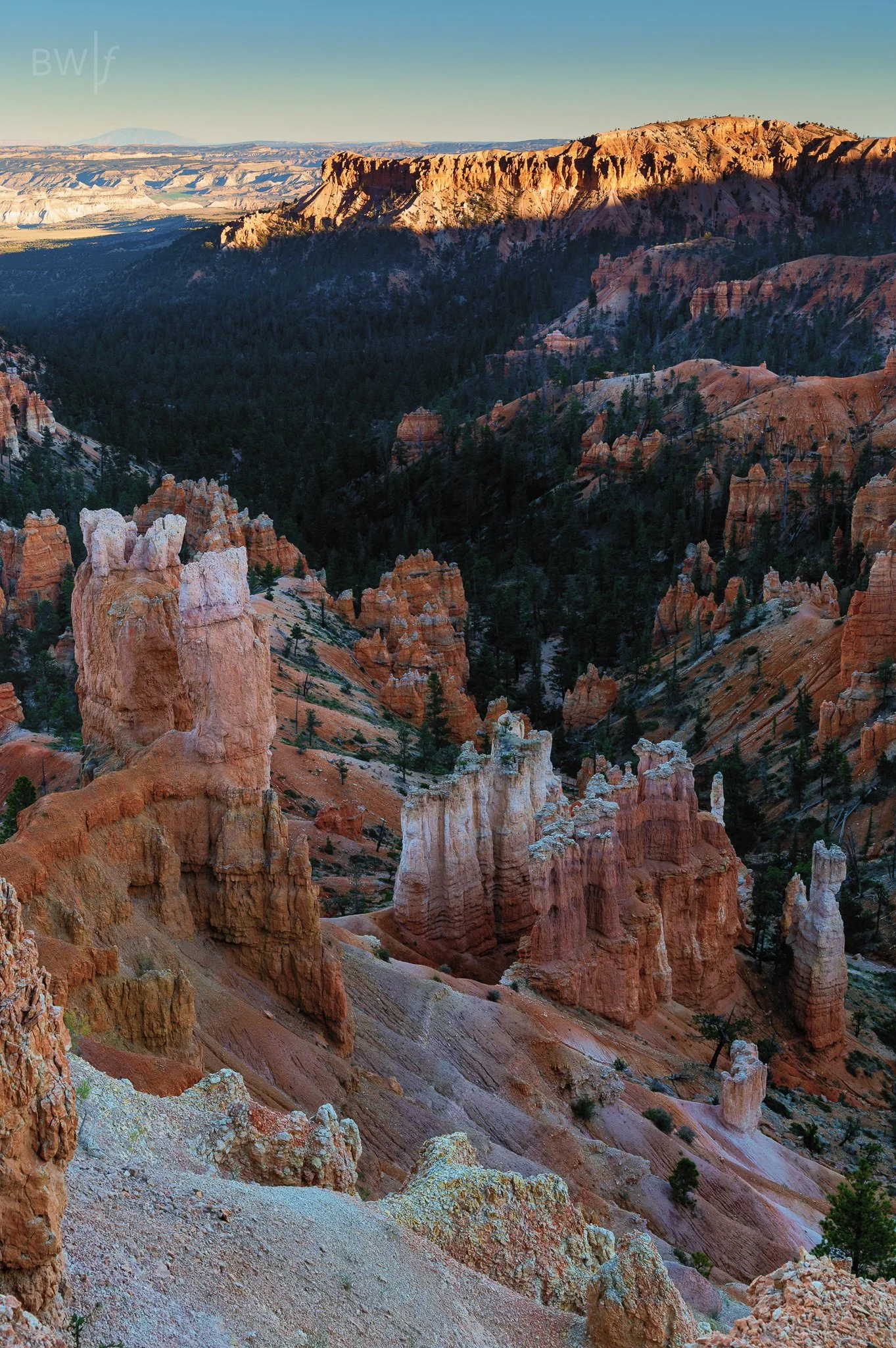 landscape-4.jpg