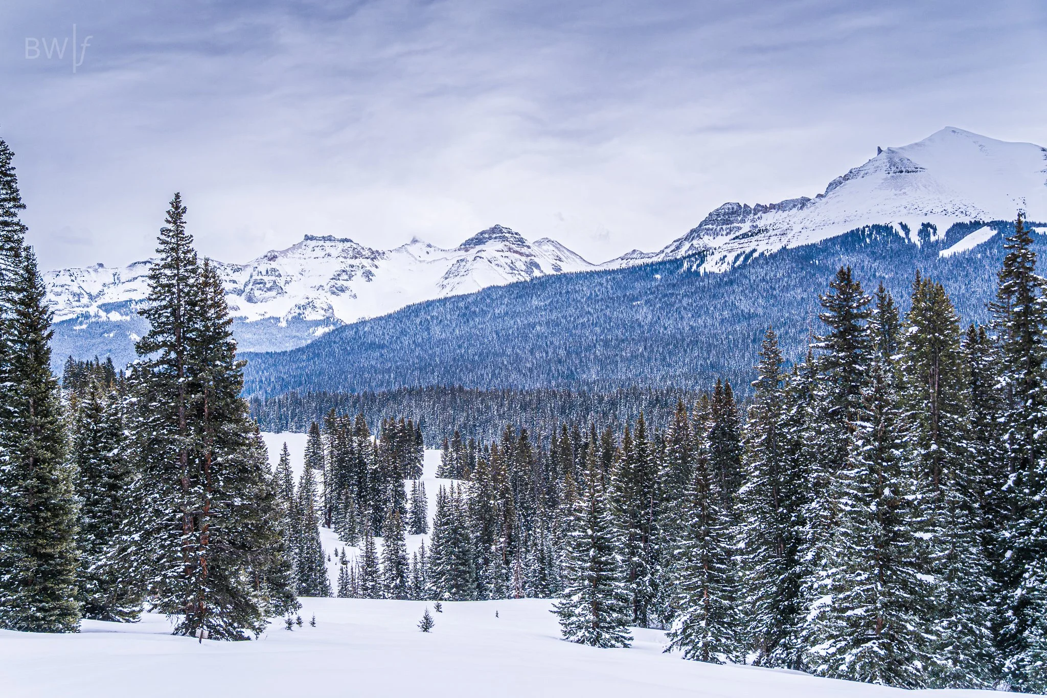 landscape-5.jpg