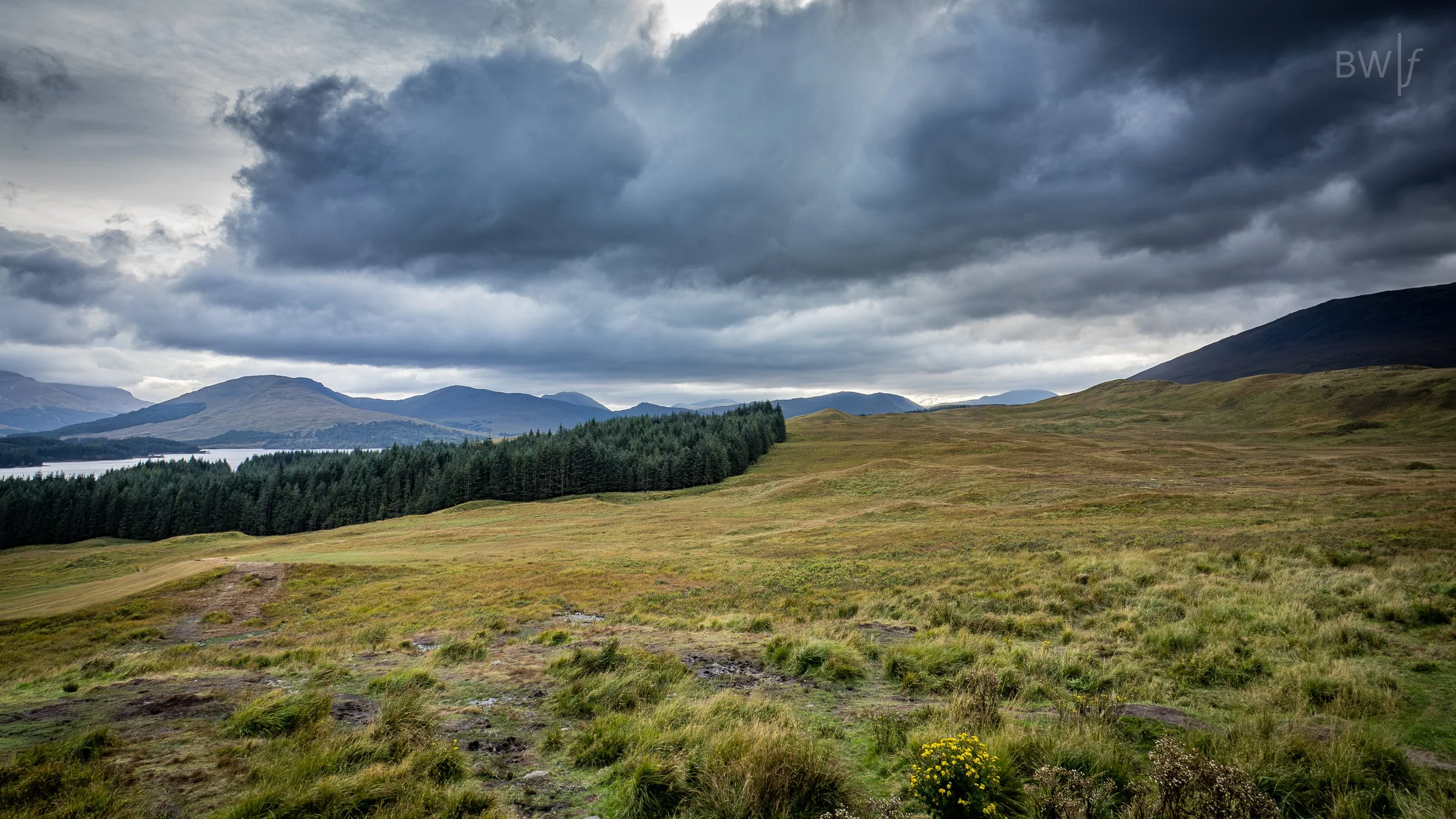 scotland-5.jpg