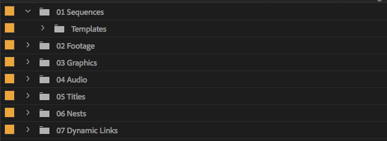 Why You Should Have a Template Folder Structure For Video Projects ...