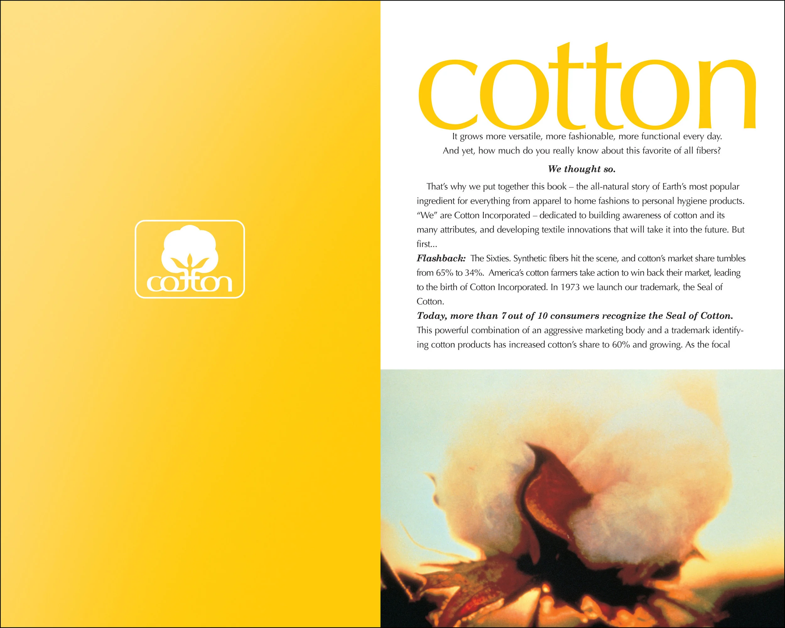 Cotton-2.jpg