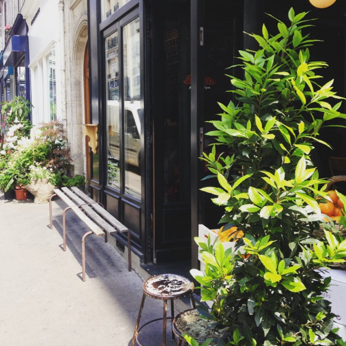 exterior Buvette with tall tree plant