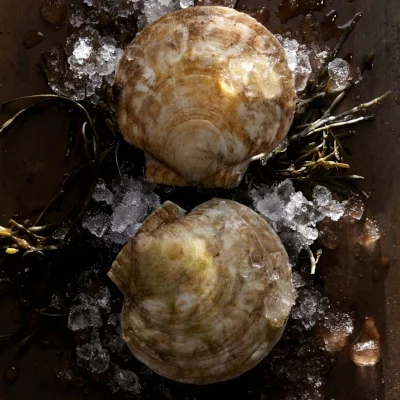 12_I_Scallops_v3-028.jpg