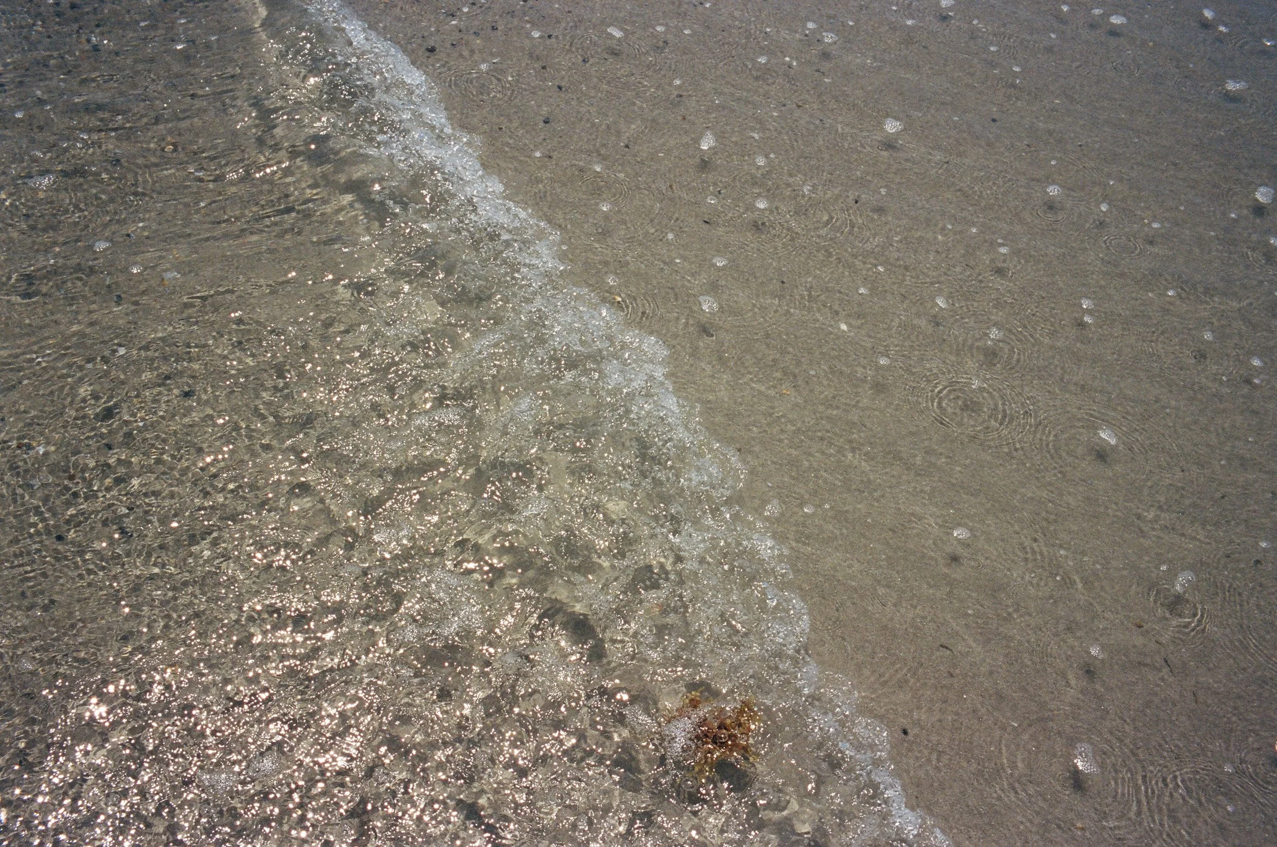 13120032.JPG