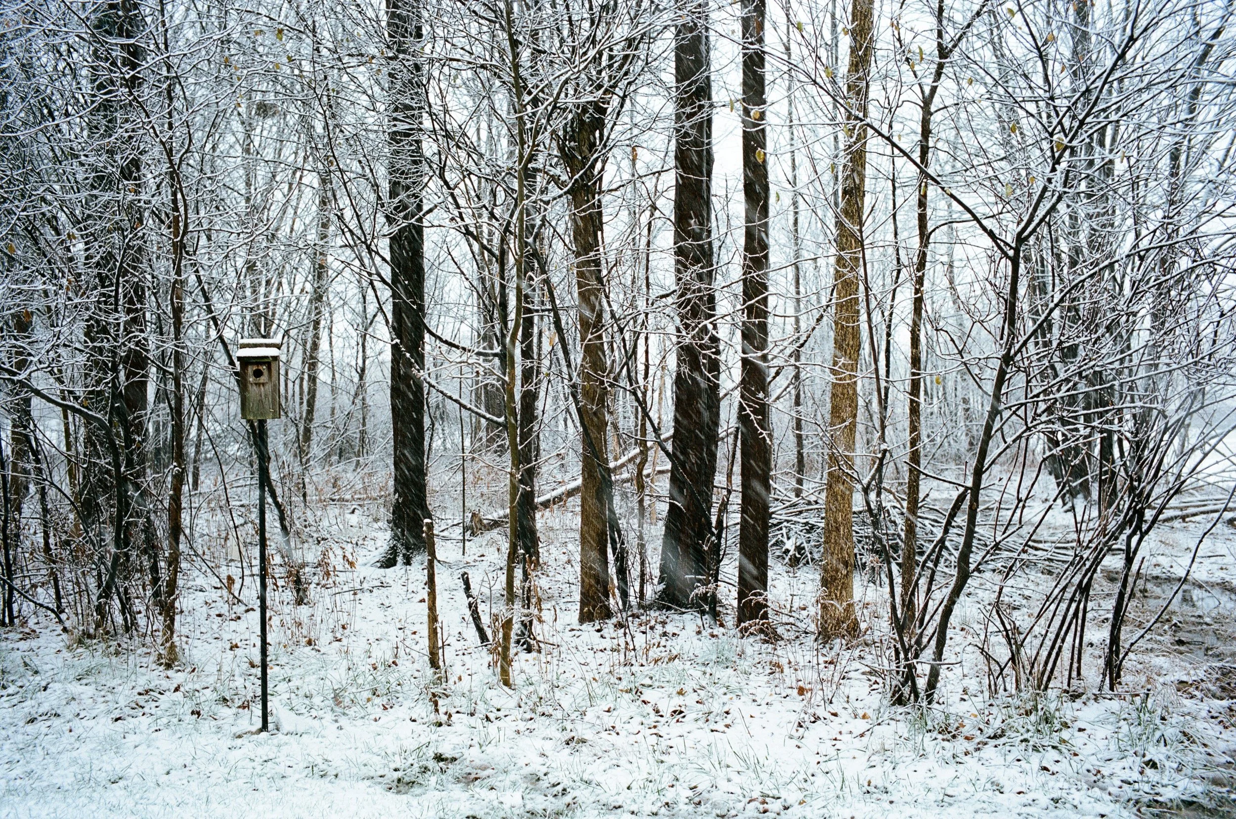  From sun to snow :-( 