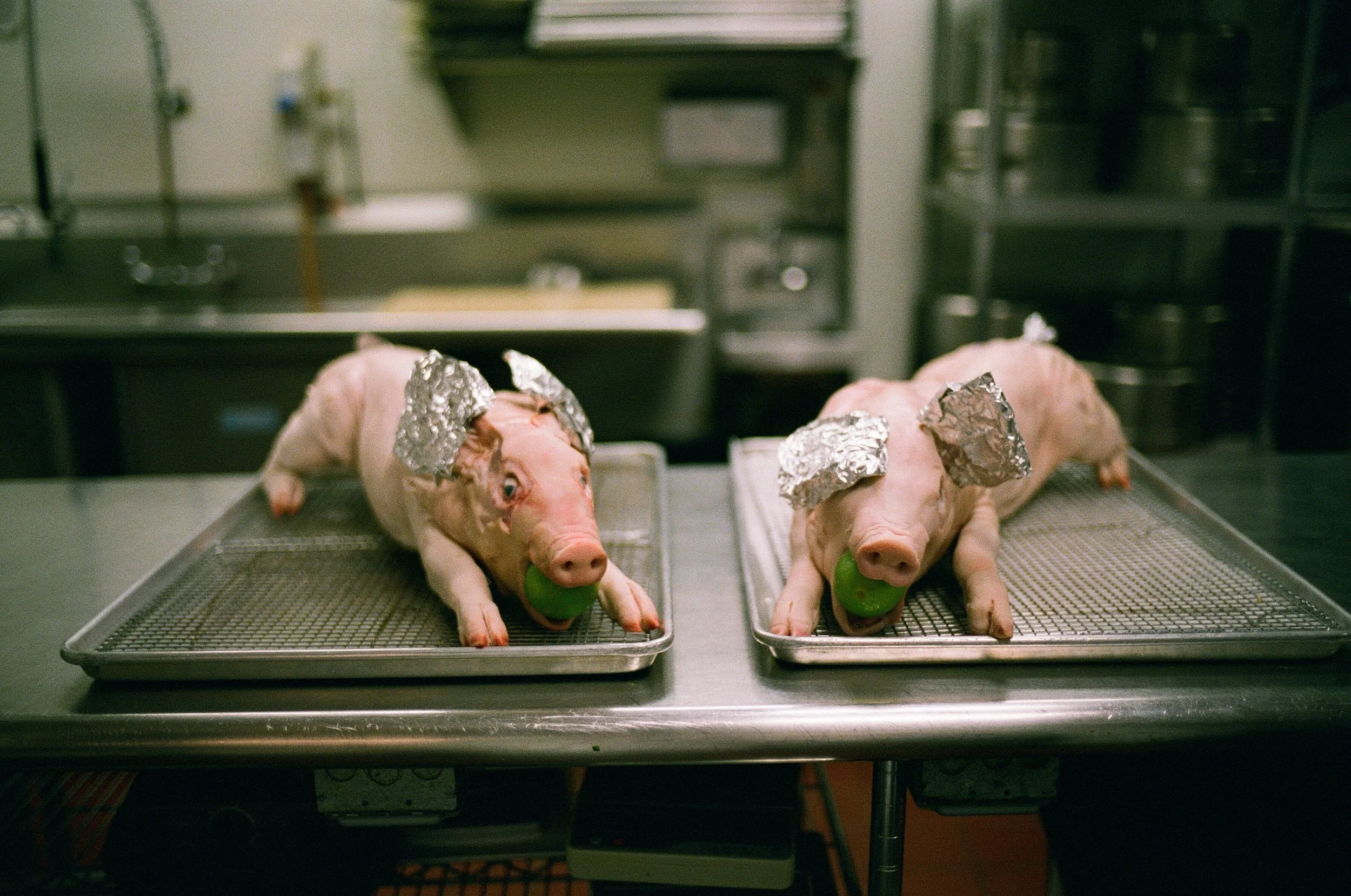  Ever play "Pass the Pigs"? 