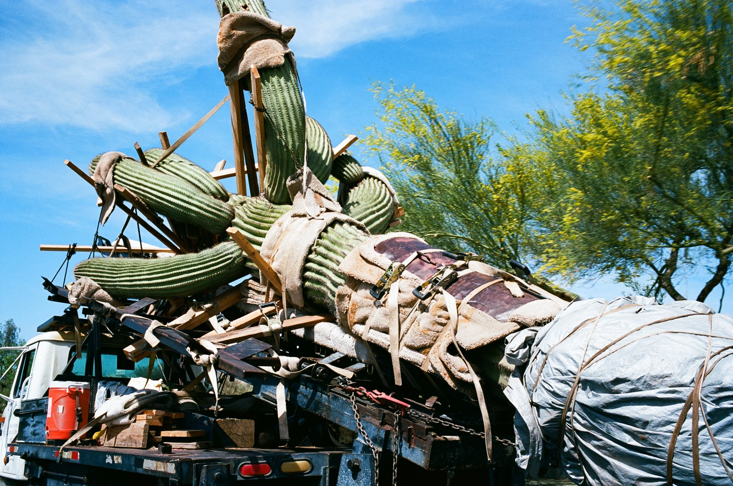  Yes, that’s a friggin’ like 100 year old saguaro cactus on a tow truck.   (Trees blurry because we matched our speed with the truck) 