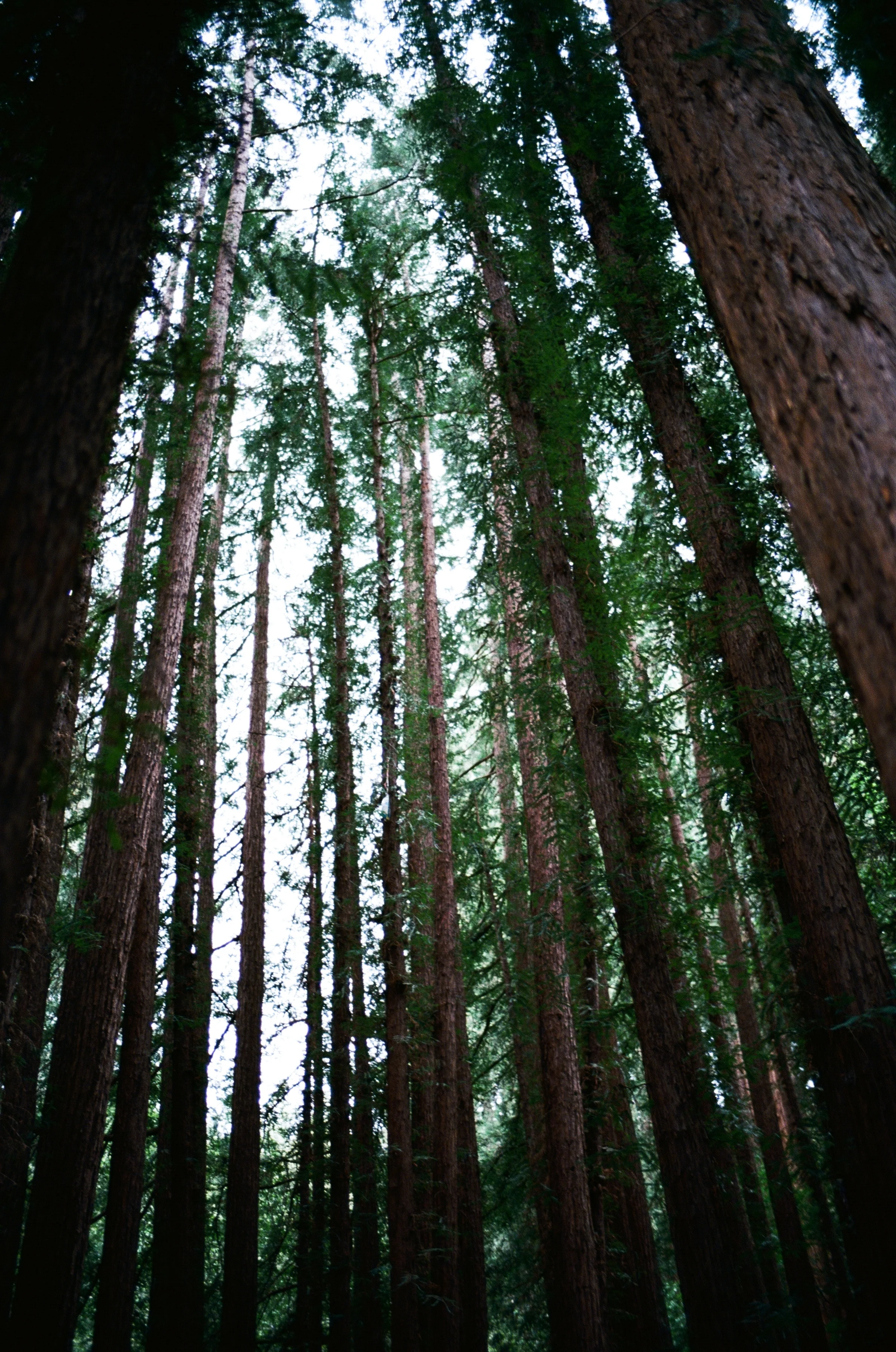 70880032.JPG