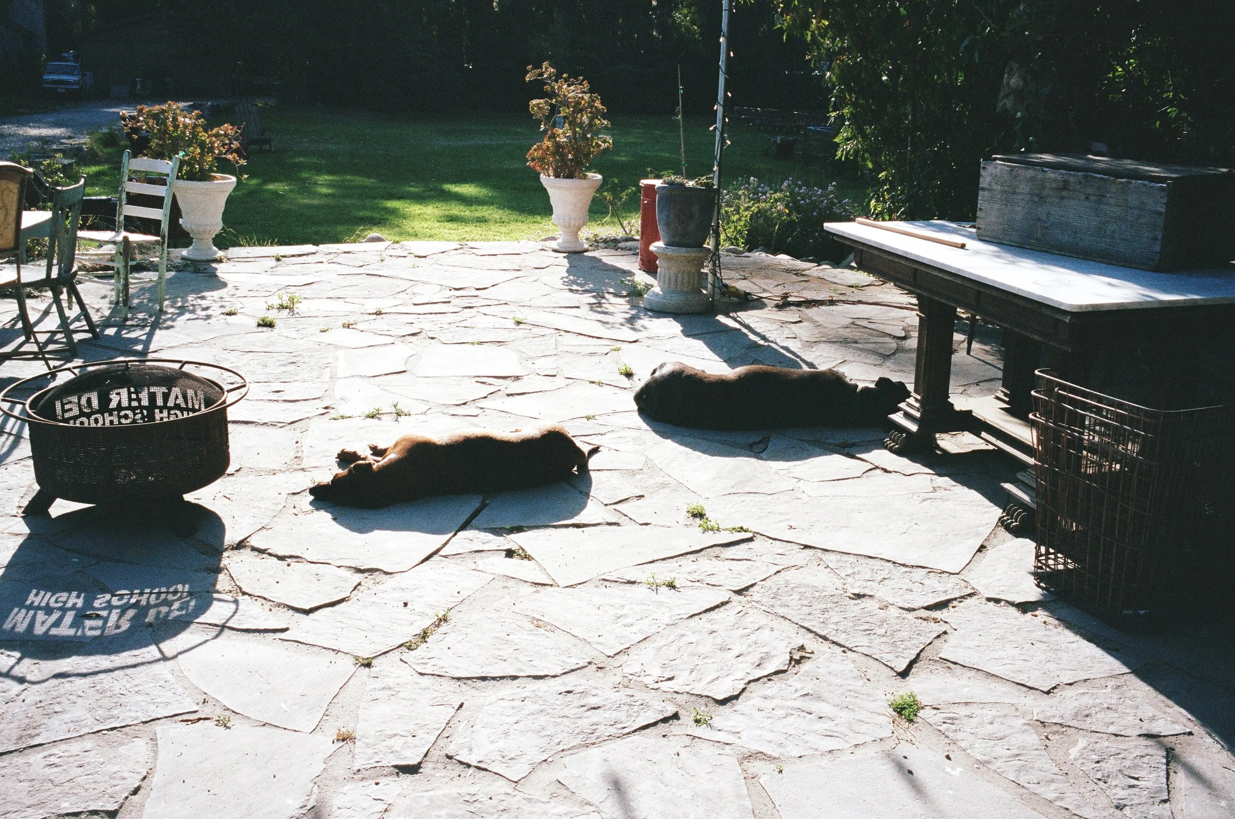  all tuckered out from all the rehearsing 