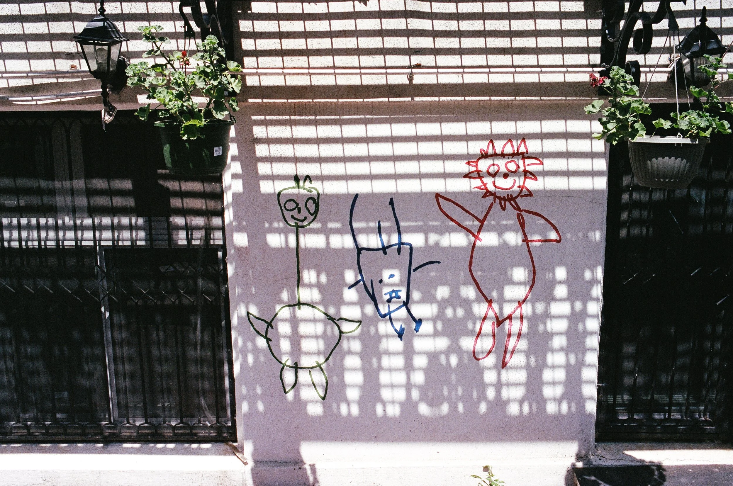   Aqua Teen Hunger Force?  