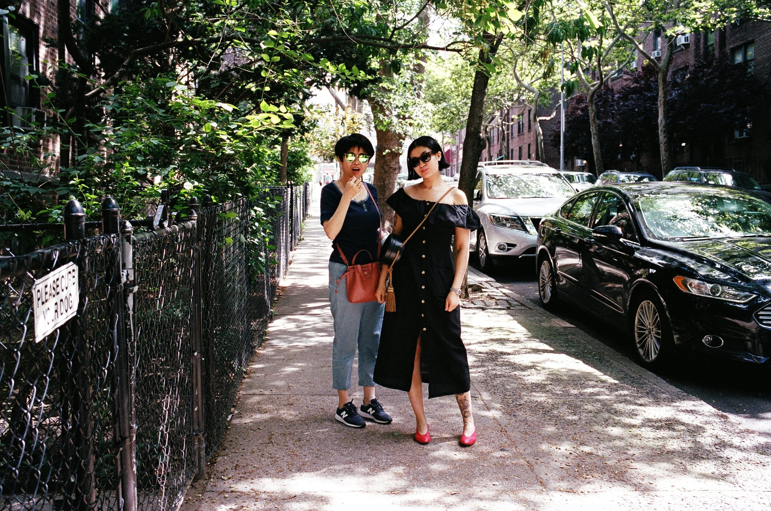  “take the goddamn picture!!” 