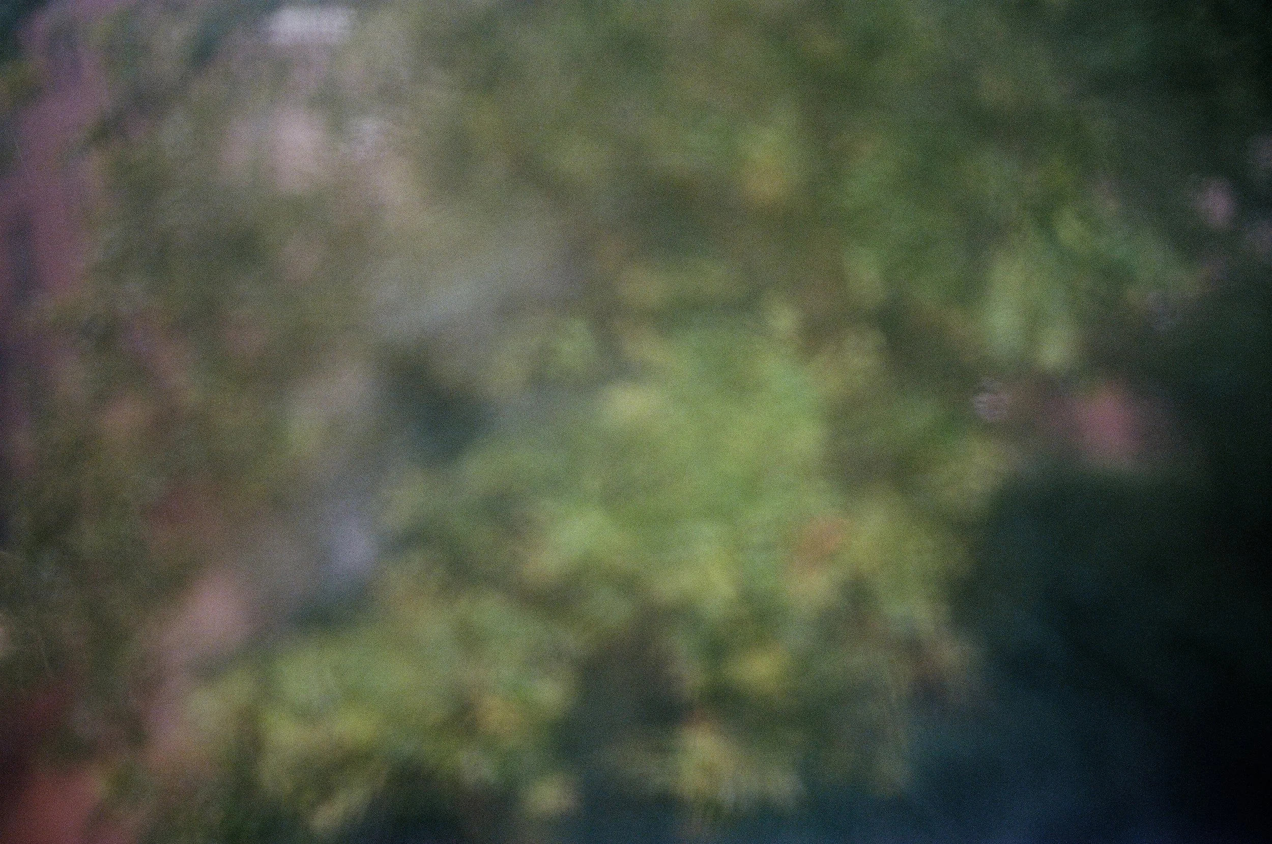  trying to be artsy in the rain :-/ 