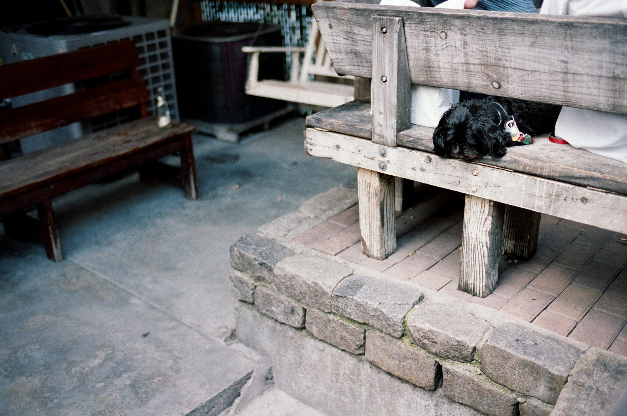  don’t jump, little dude! 