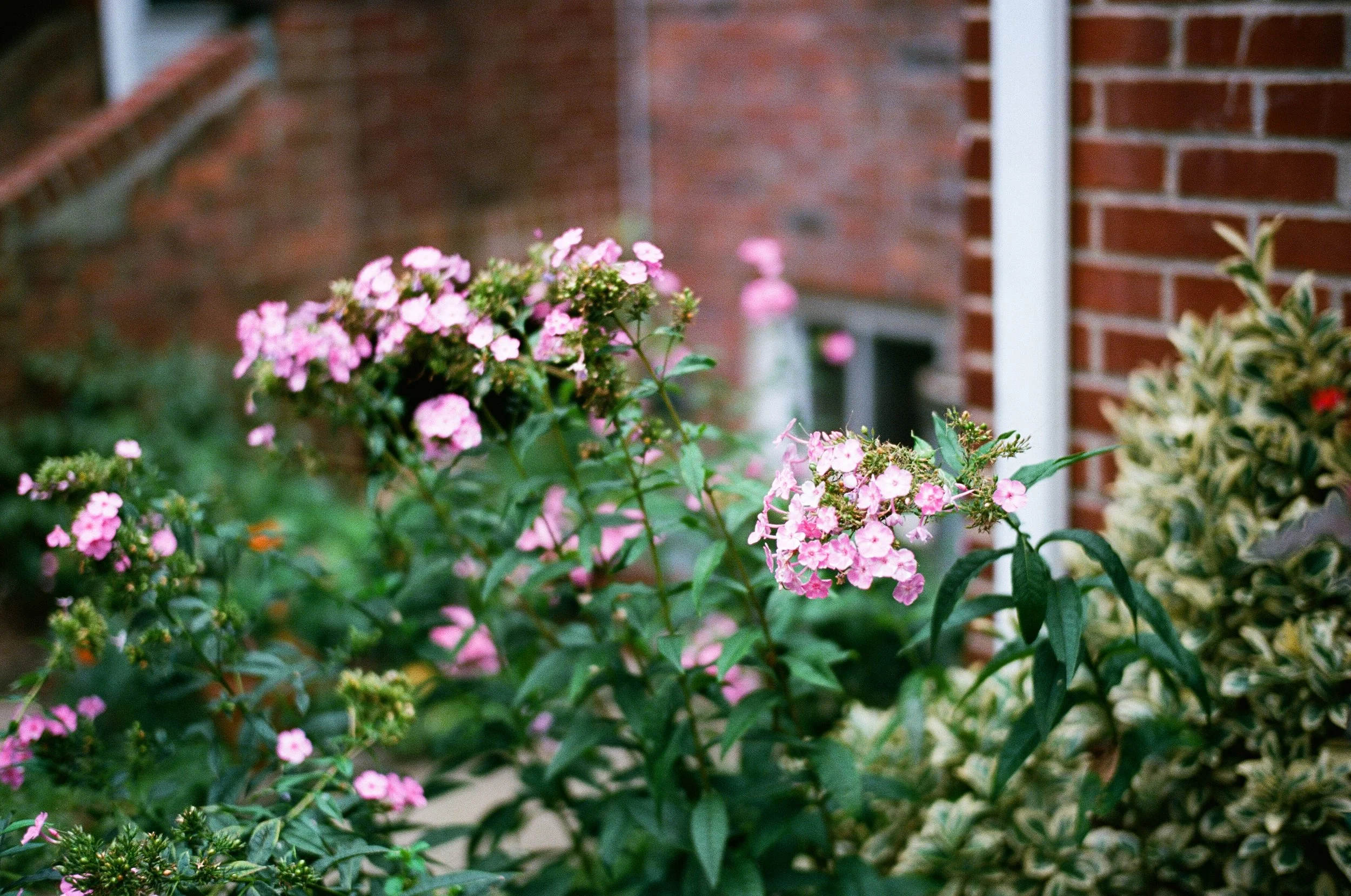 50mm for the next few