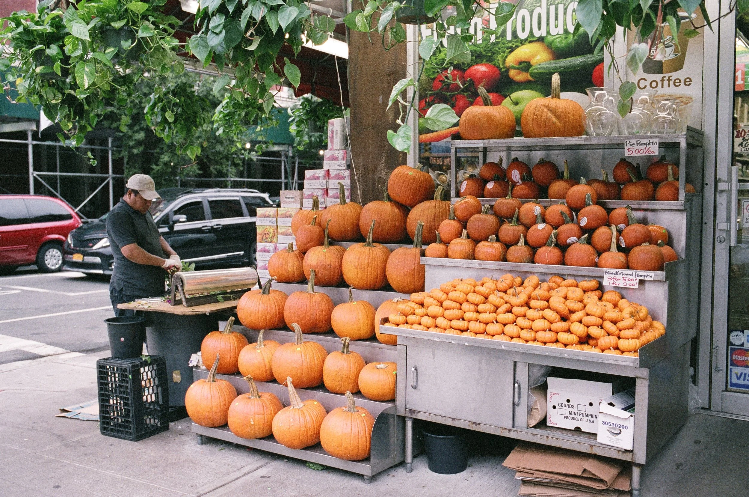  Pumpkin Spice Bodega 