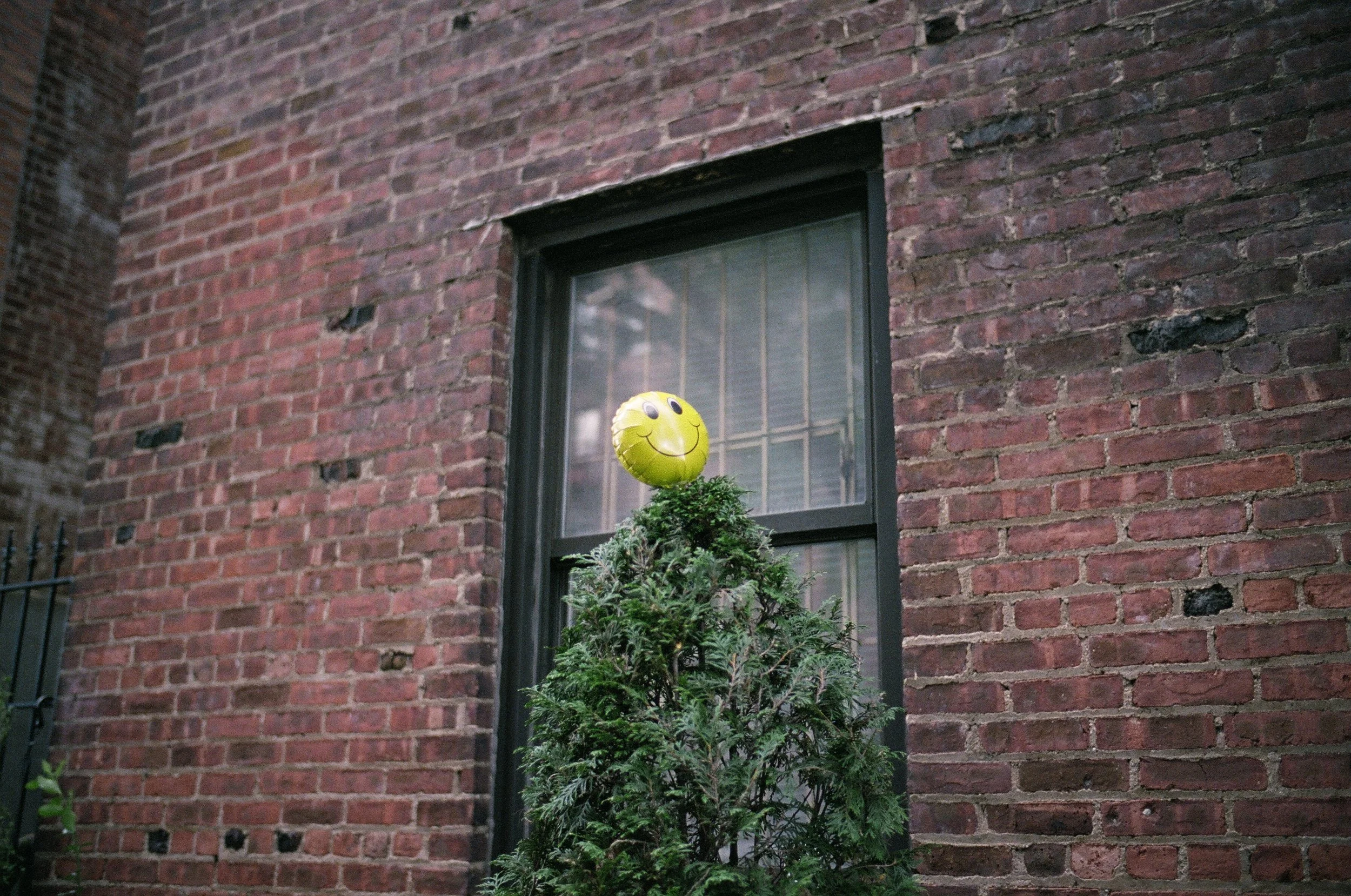  What holiday is this? 