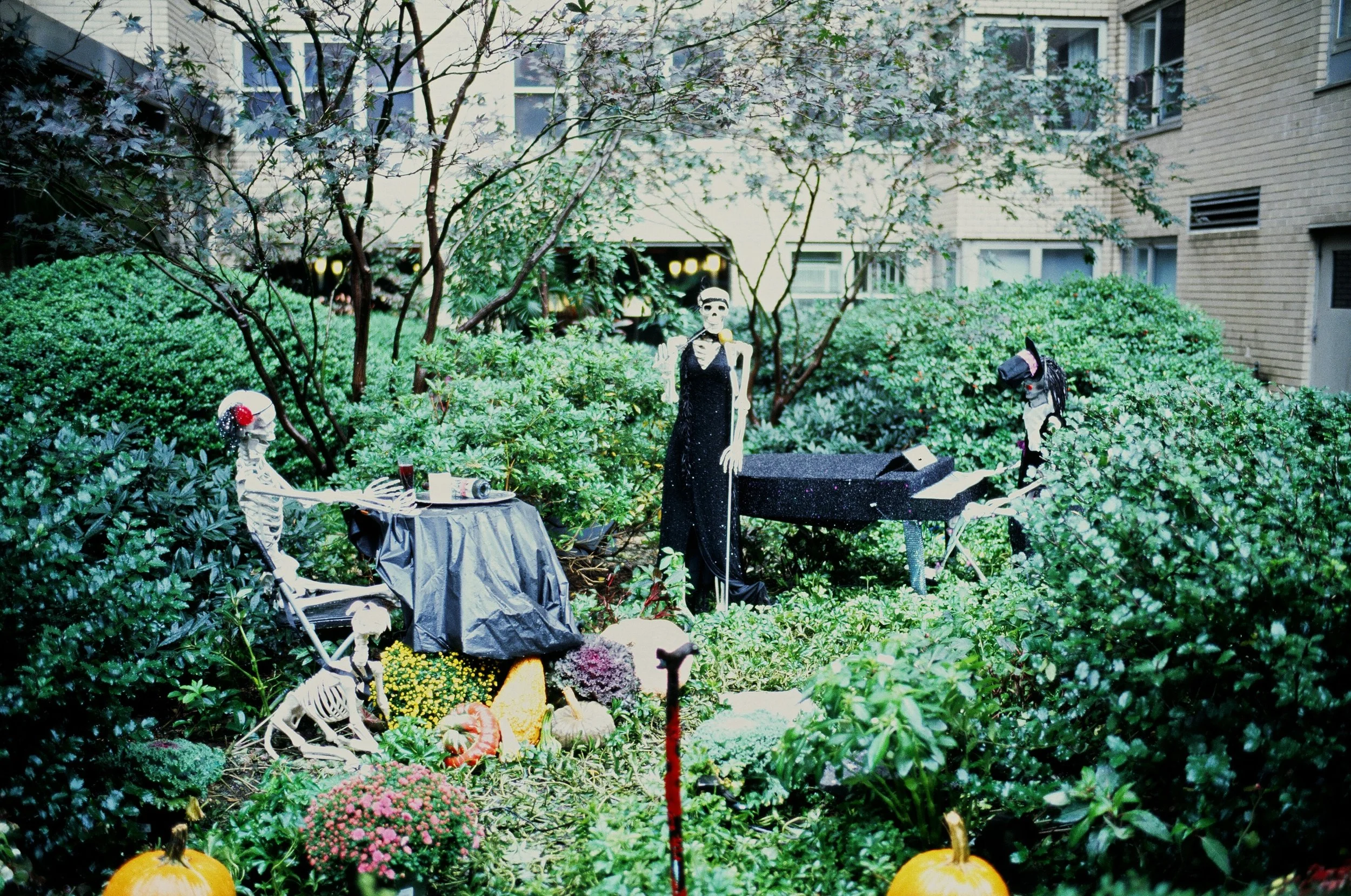  Dance party! Yes, it was pouring rain 