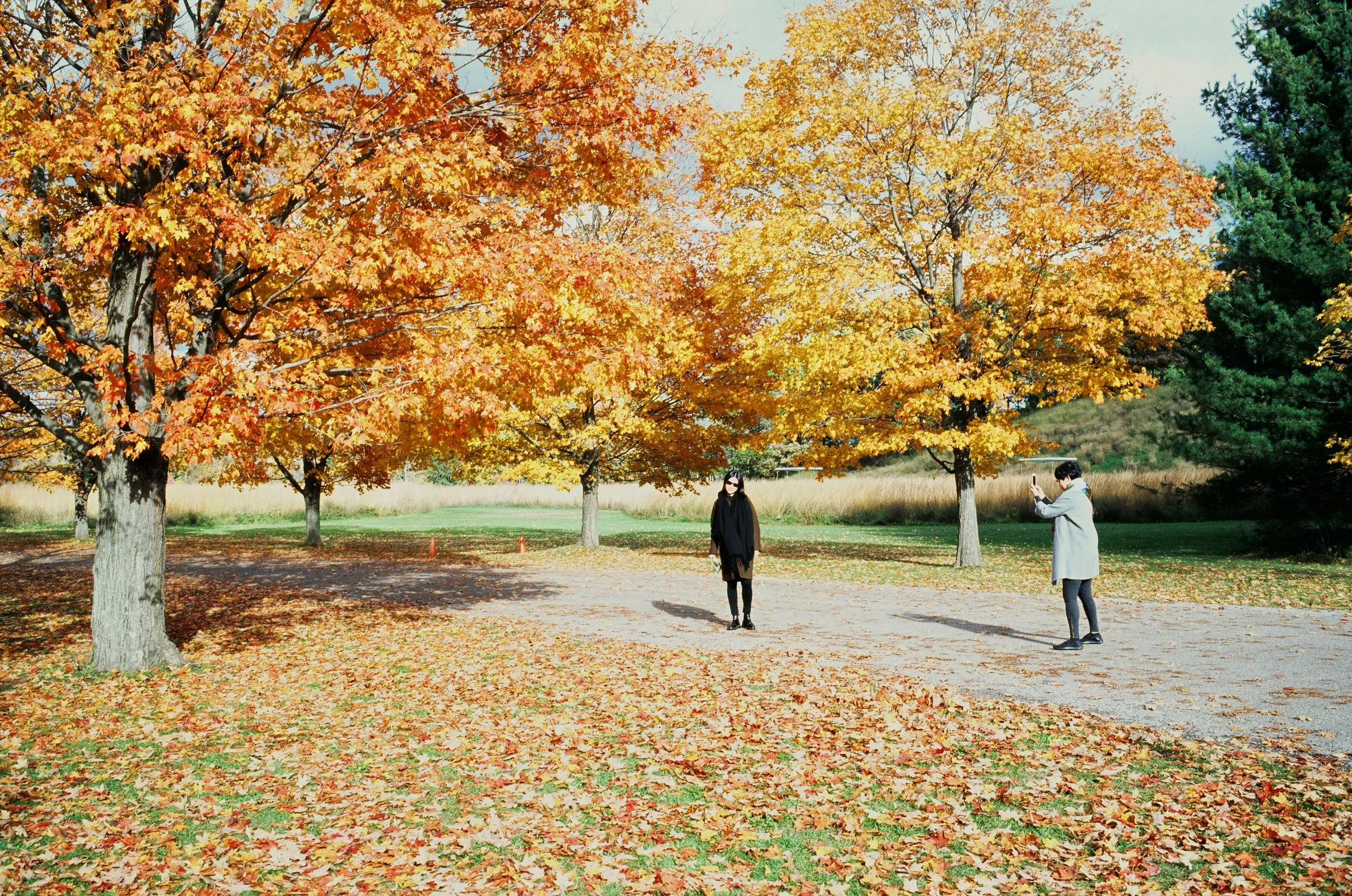  Storm King! All the colors 