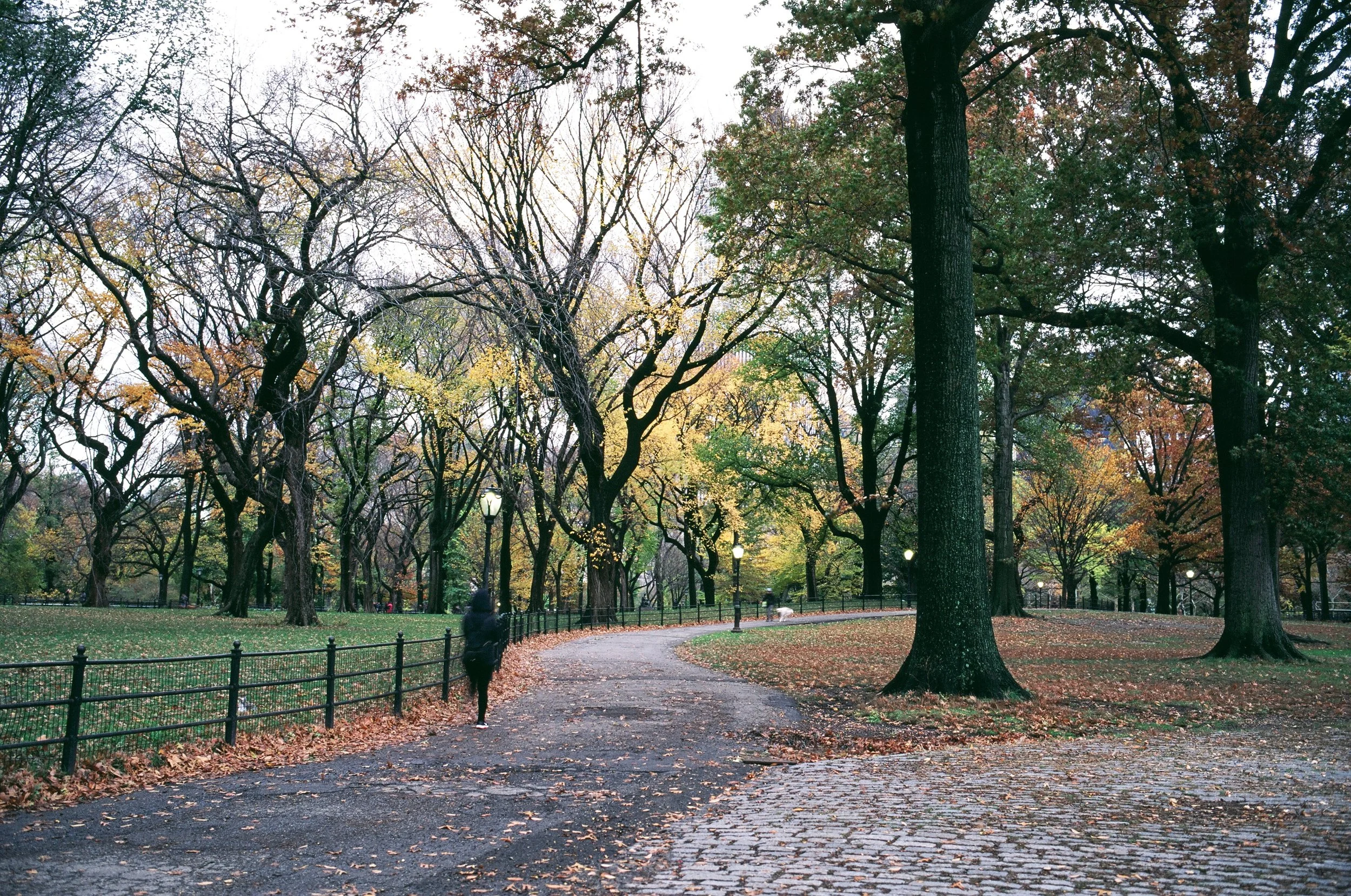  ghosts of Central Park 