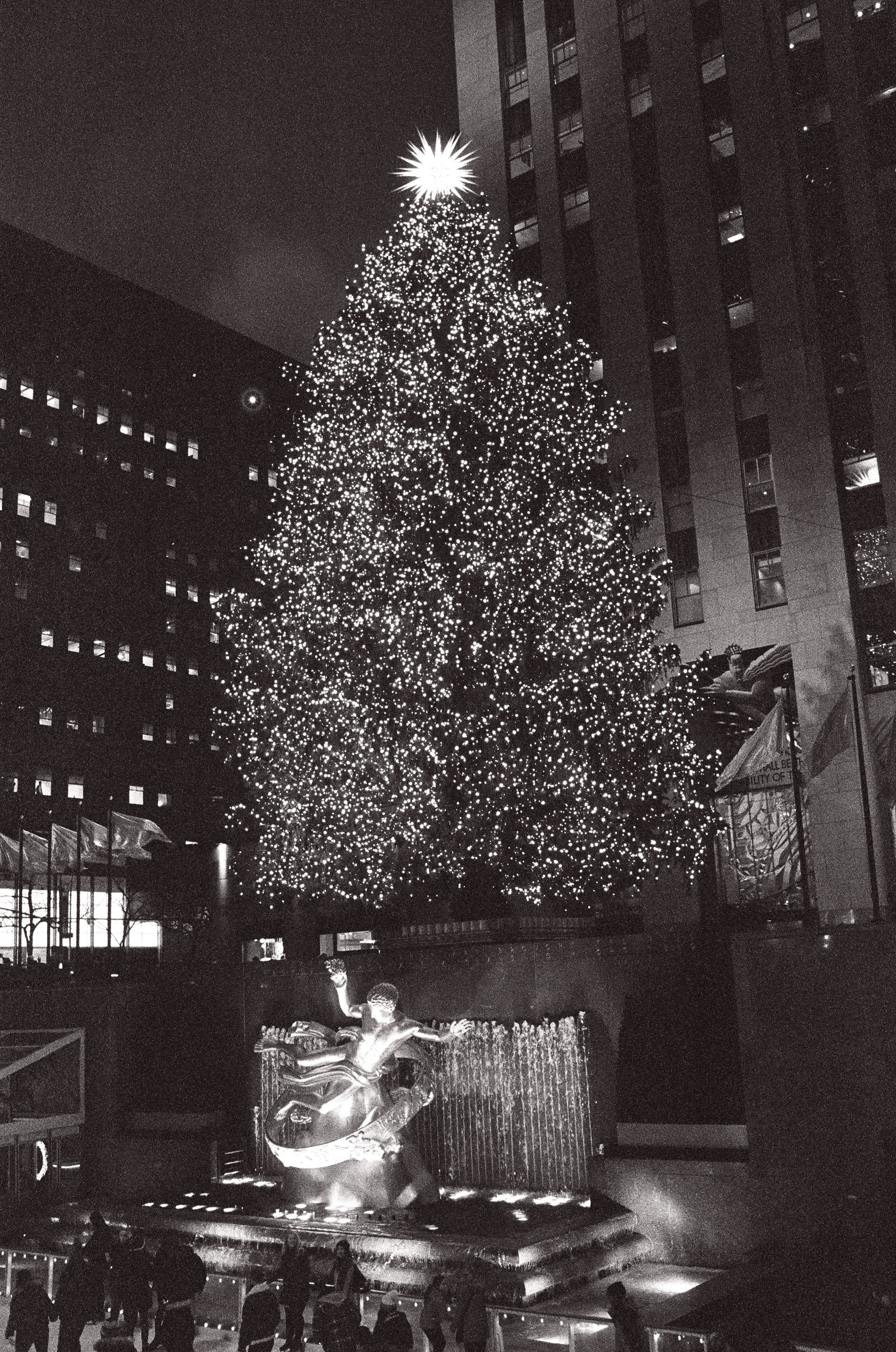  My eighth Christmas in NYC and the closest I’ve been to the Rockefeller Tree 