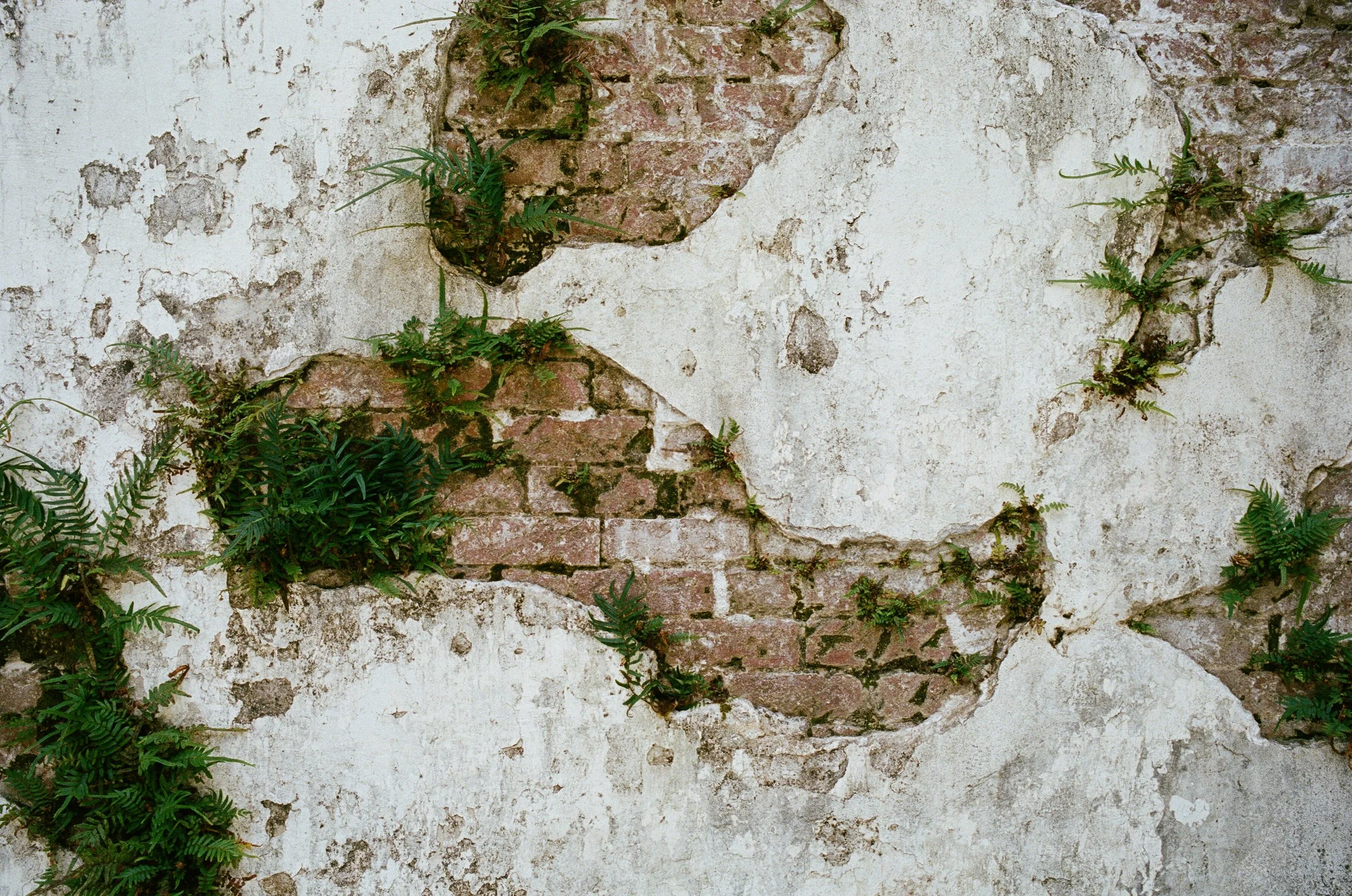  Cemeteries are closed on Good Friday? 