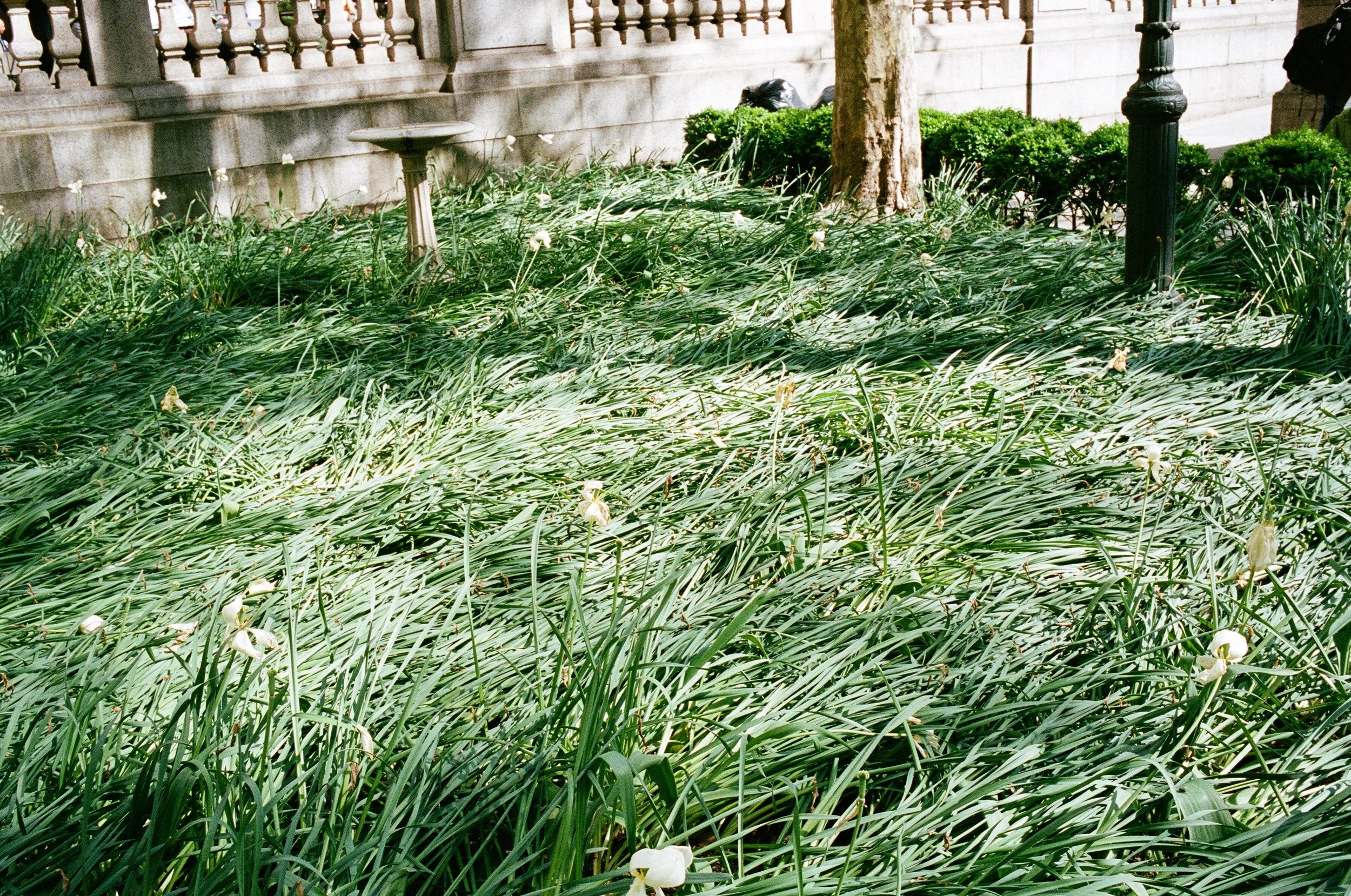  did an elephant sit here? 