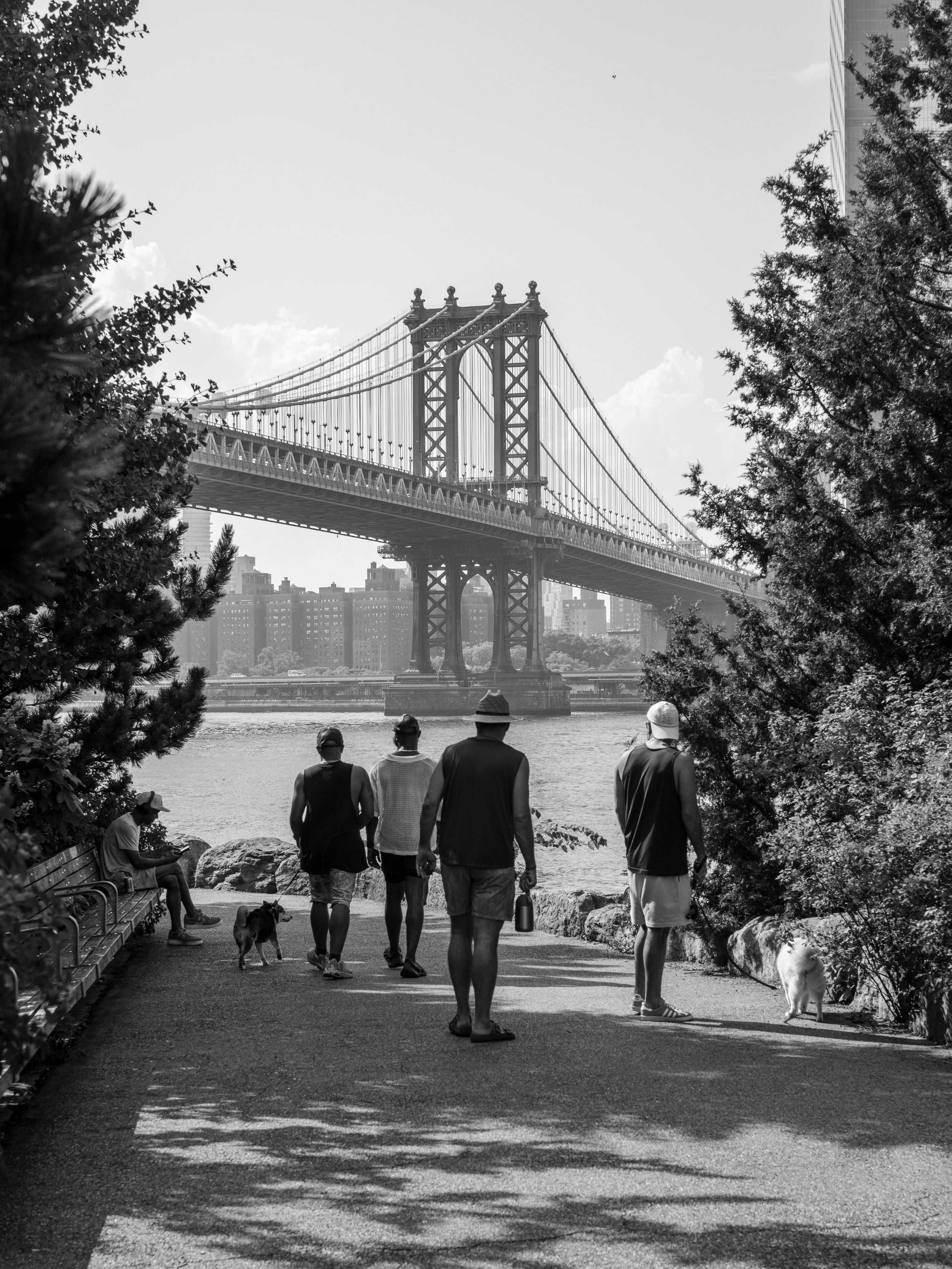 L1014429.jpg