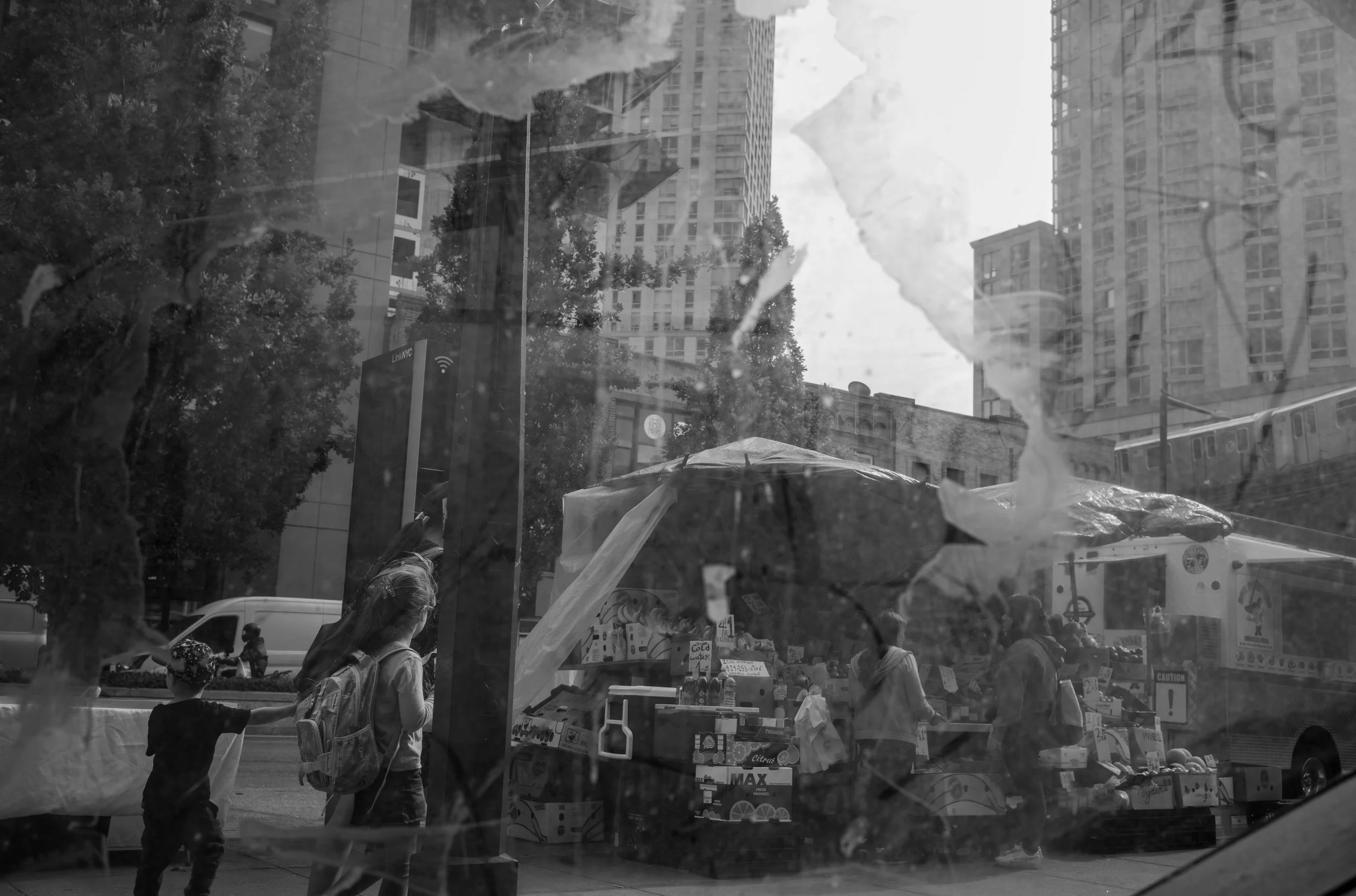 L1013602.jpg