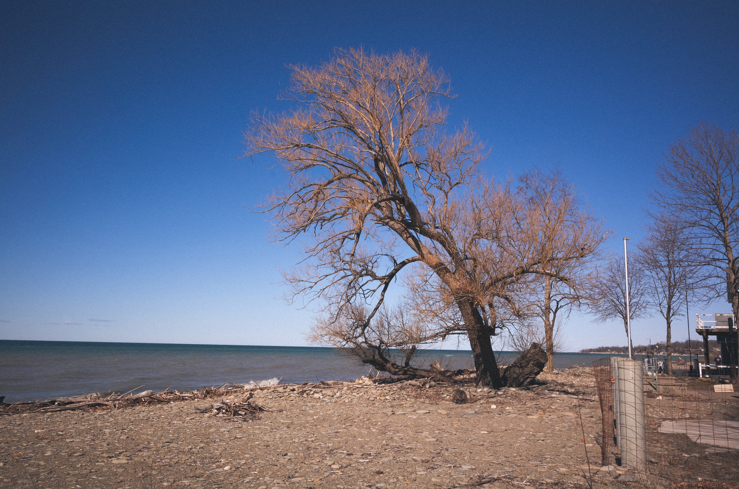 L1003712.jpg
