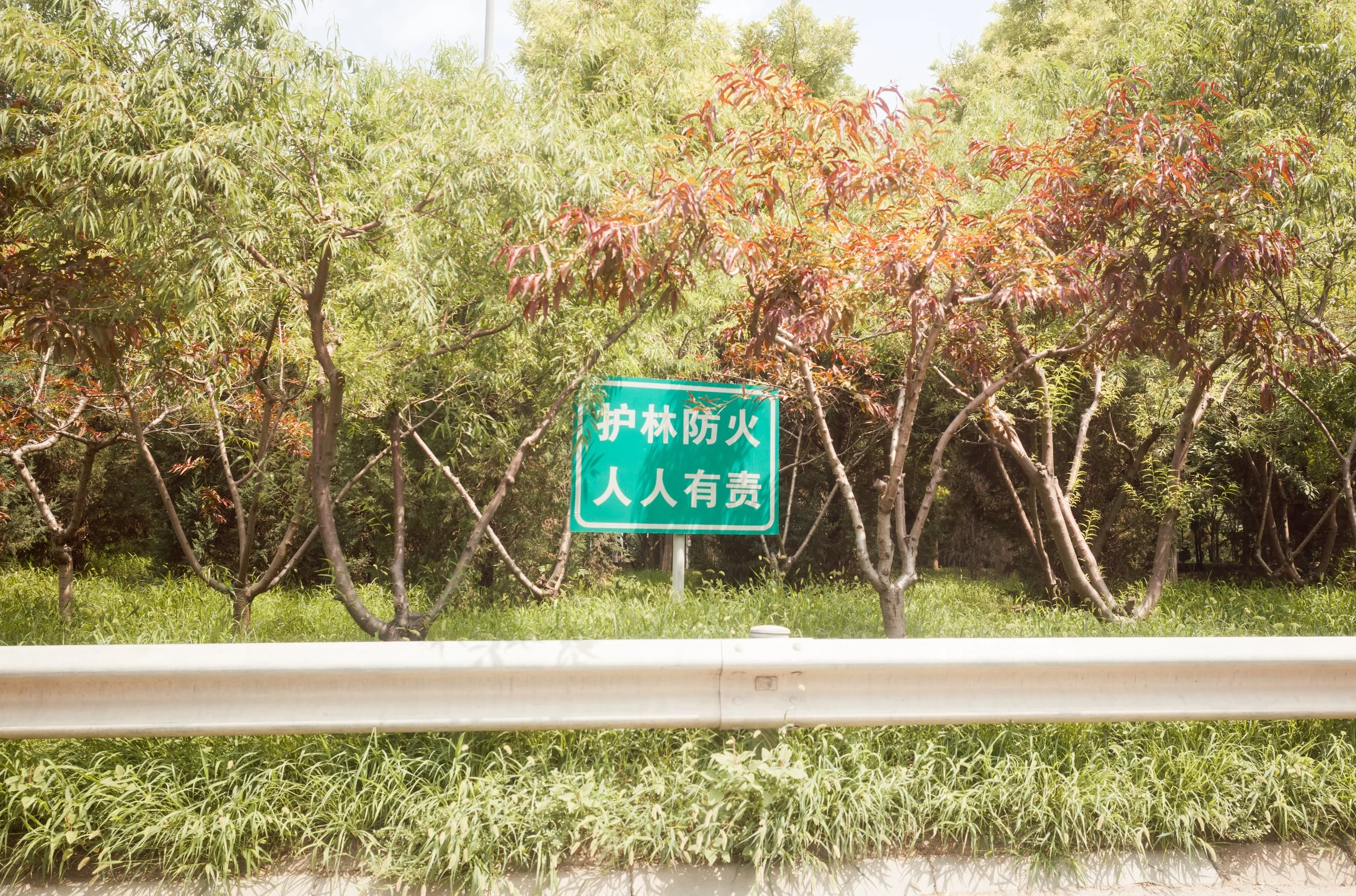 L1005903.jpg