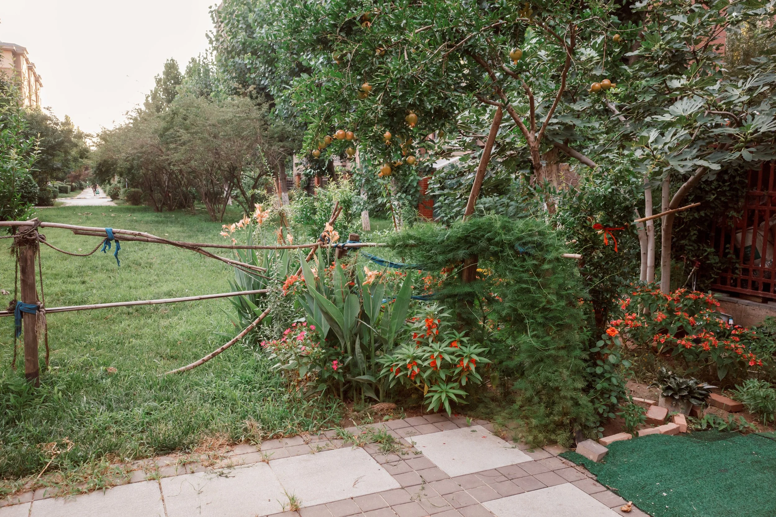 R0004213.jpg
