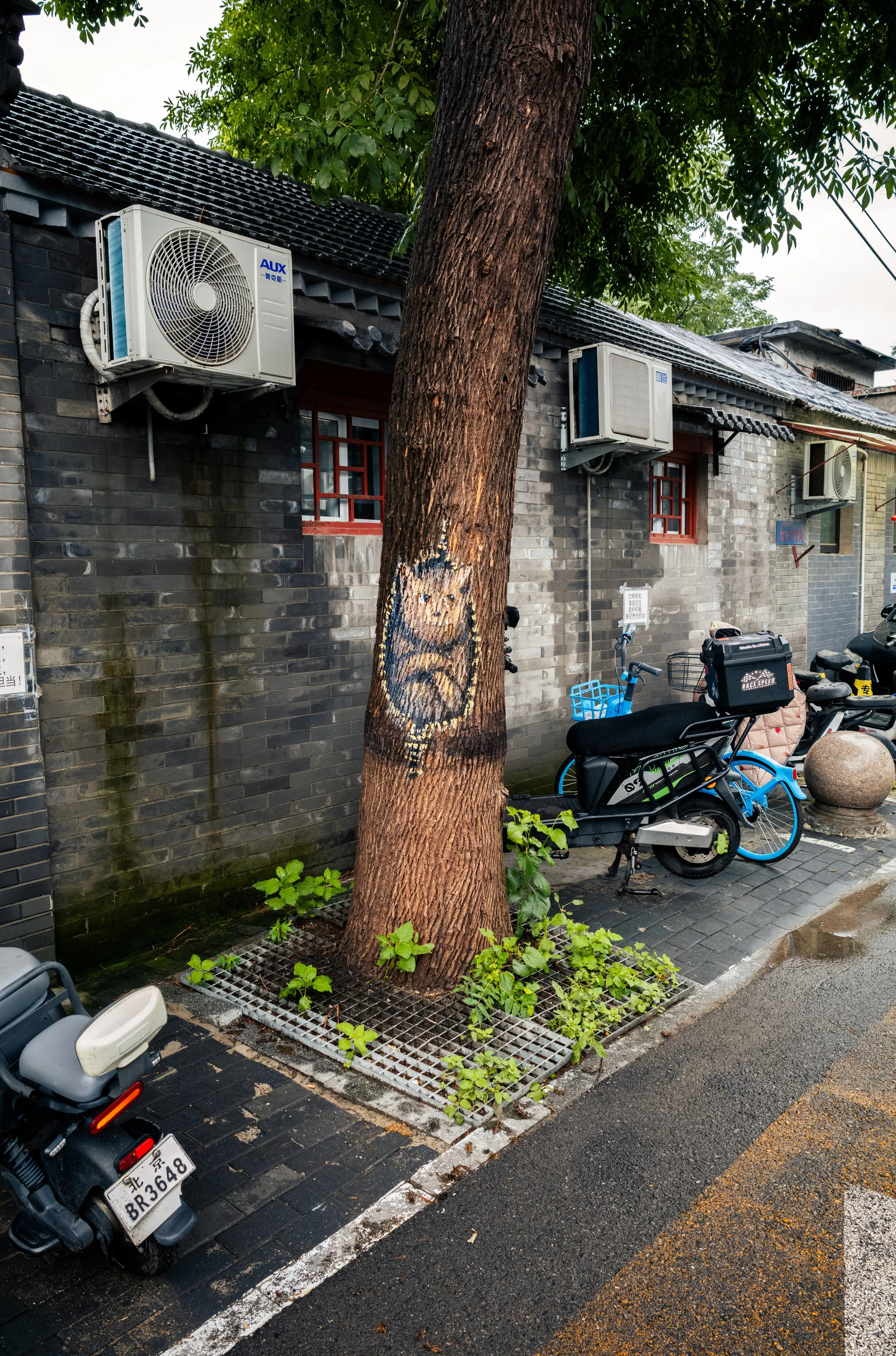 L1006777.jpg