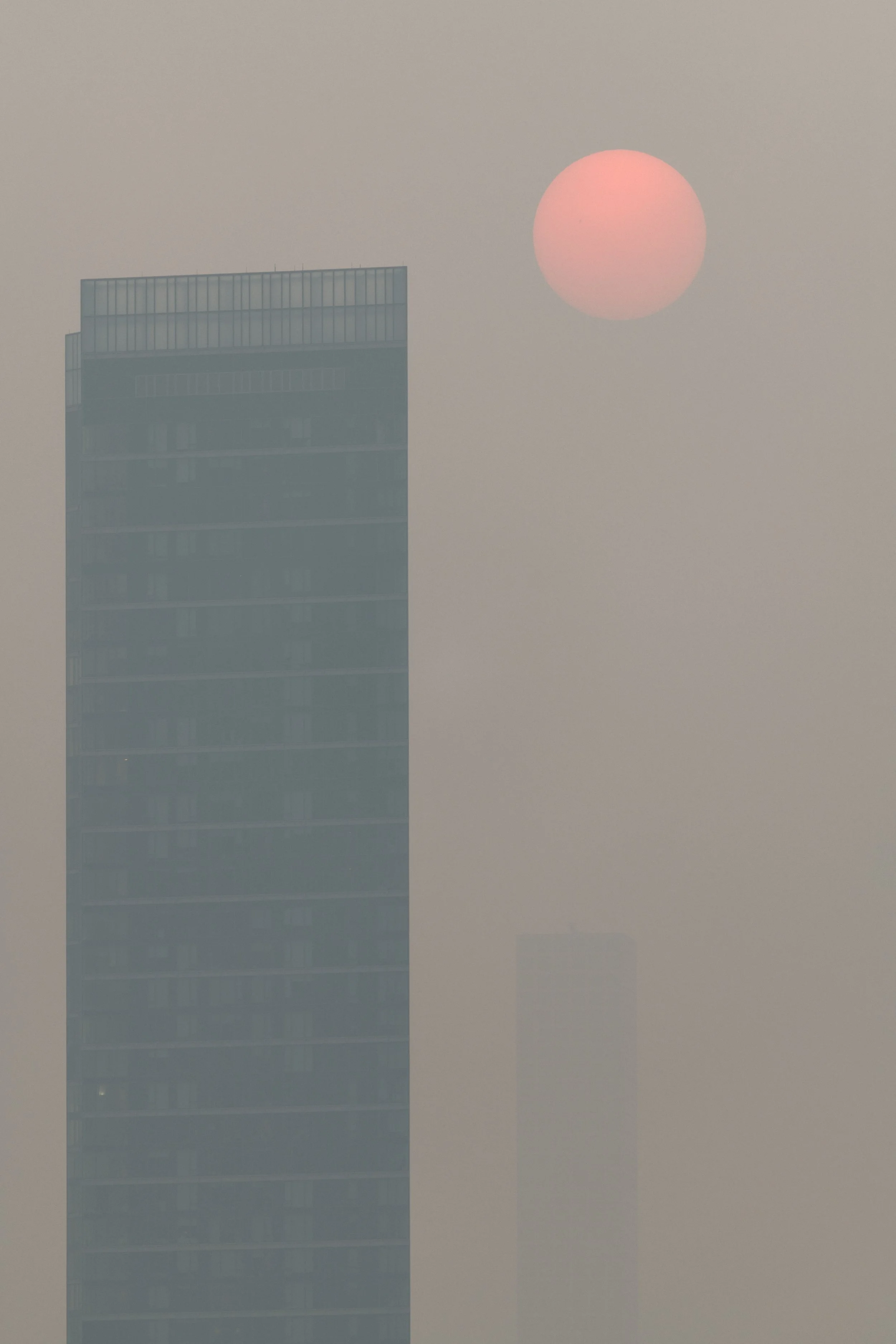 DSC_2627.jpg