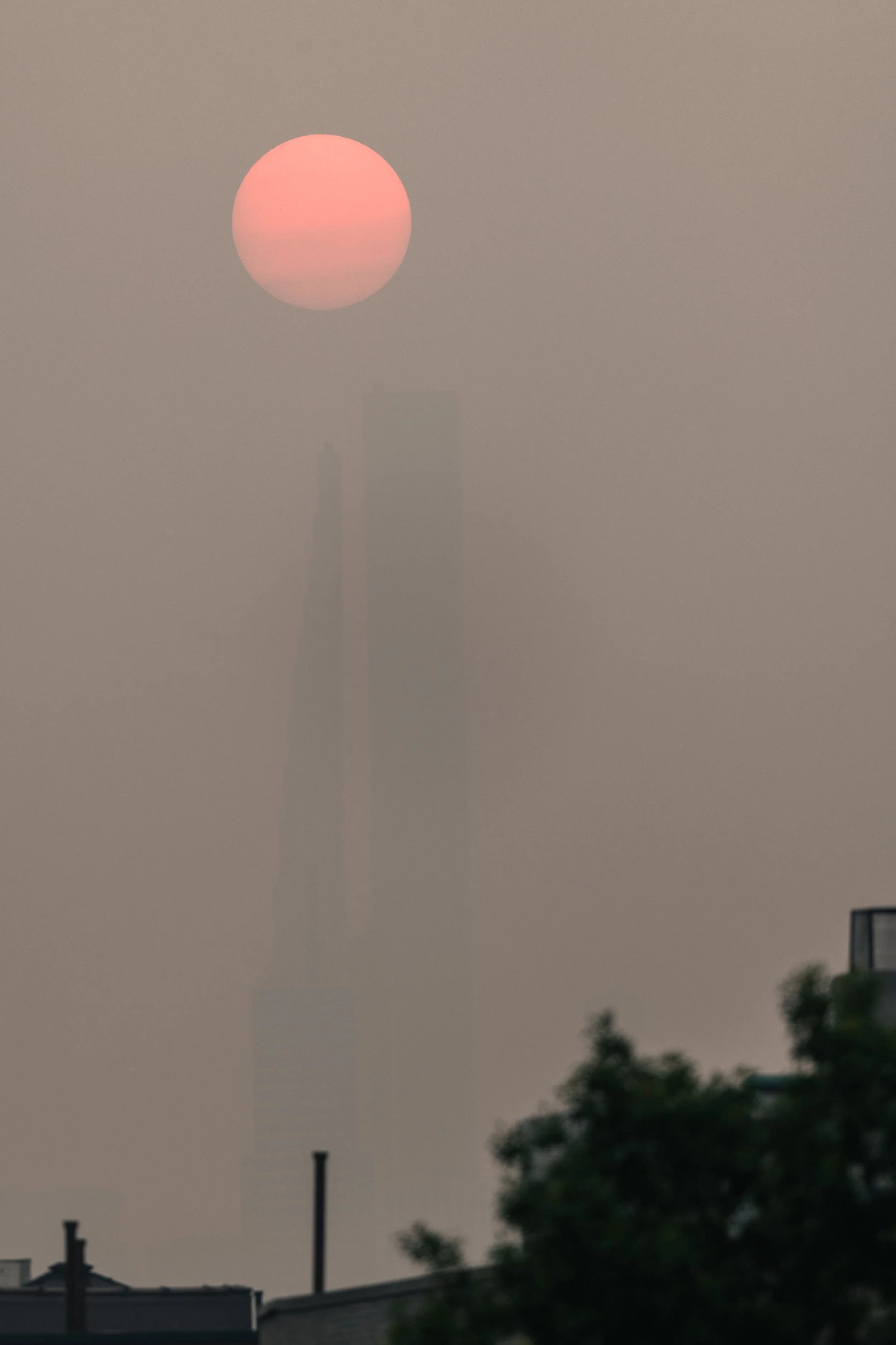 DSC_2648.jpg