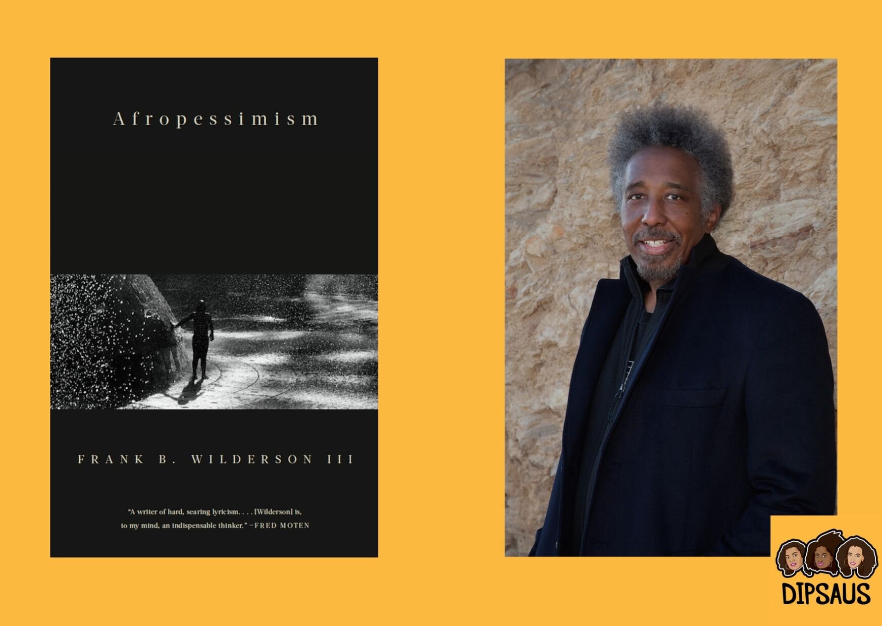 Recensie Afropessimism van Frank Wilderson III — Dipsaus Podcast